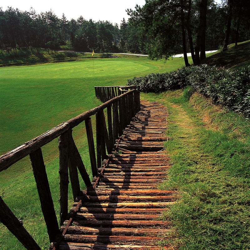 ⛳중국 명문 황산 무제한골프✨