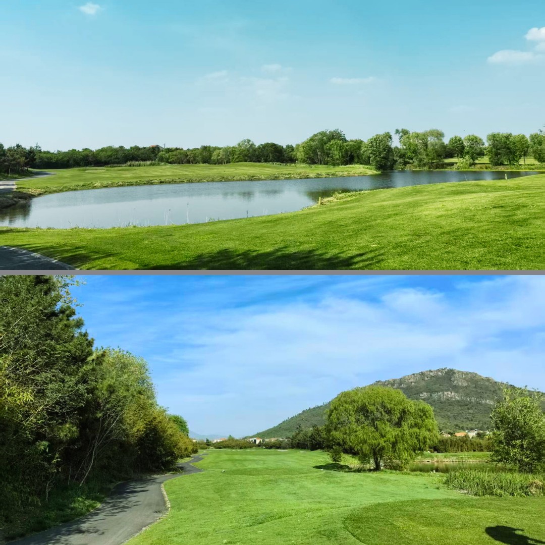 ⛳중국 염성(옌청) 화과산 2색골프 & 관광