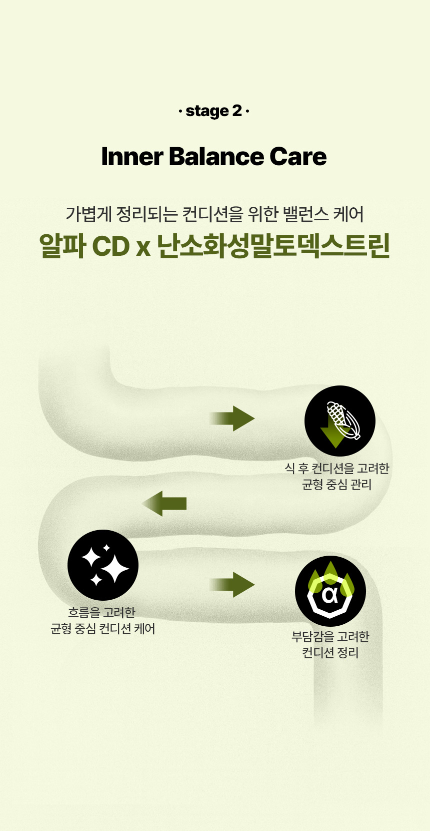 피버톡스 식이섬유 정 파이버맥싱 1600
