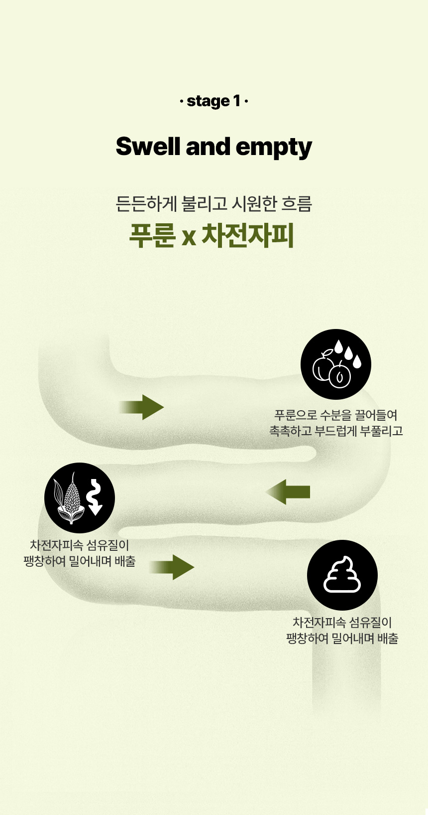 피버톡스 식이섬유 정 파이버맥싱 1600
