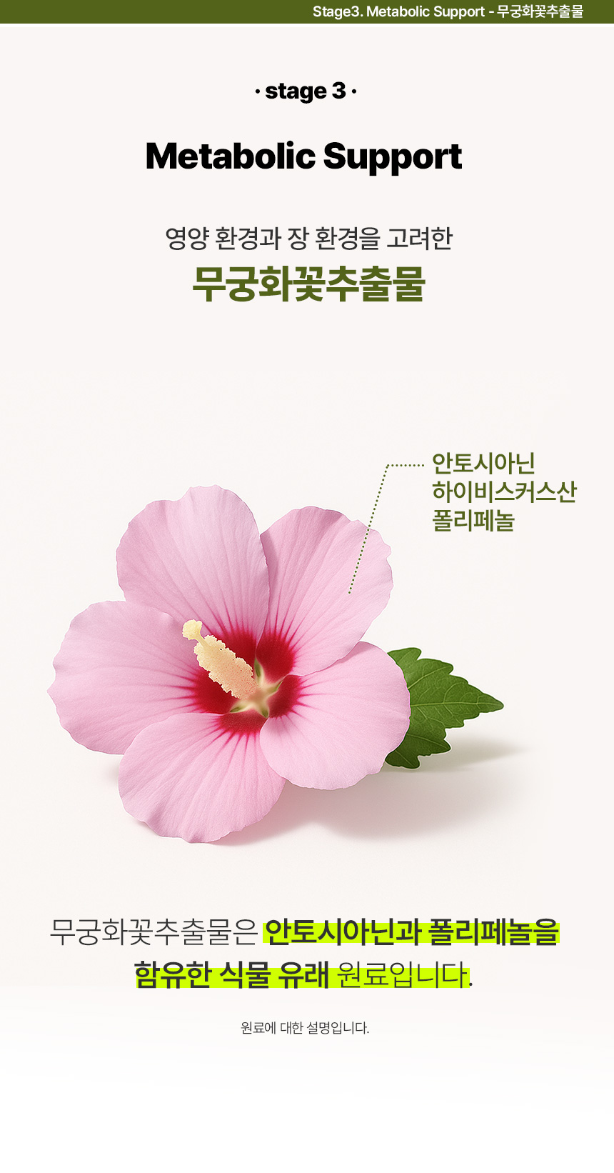 피버톡스 식이섬유 정 파이버맥싱 1600