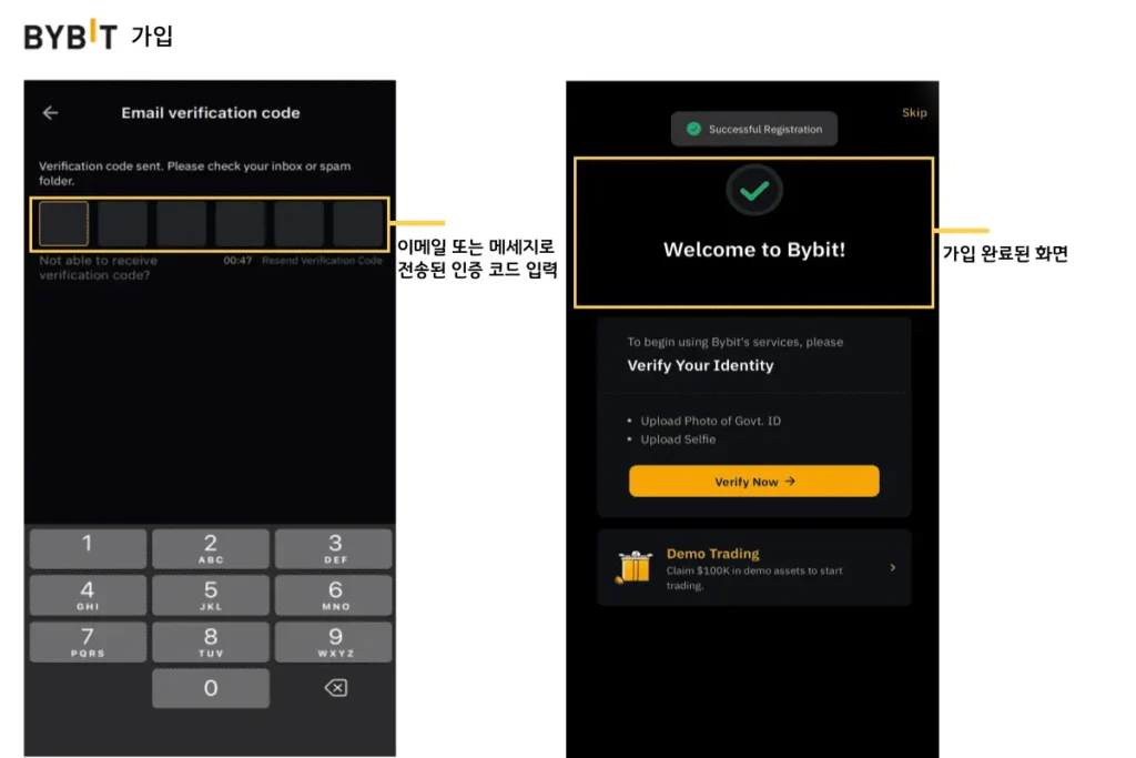 바이비트-3