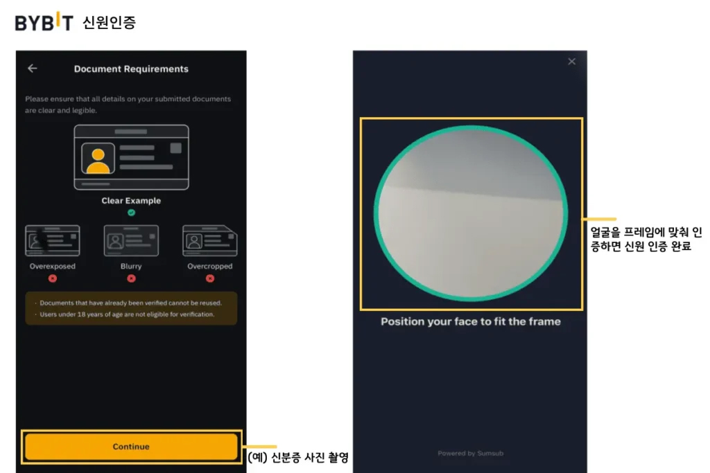 바이비트-5