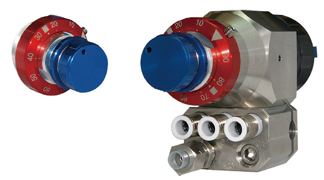 T2AGPV 선택 사항