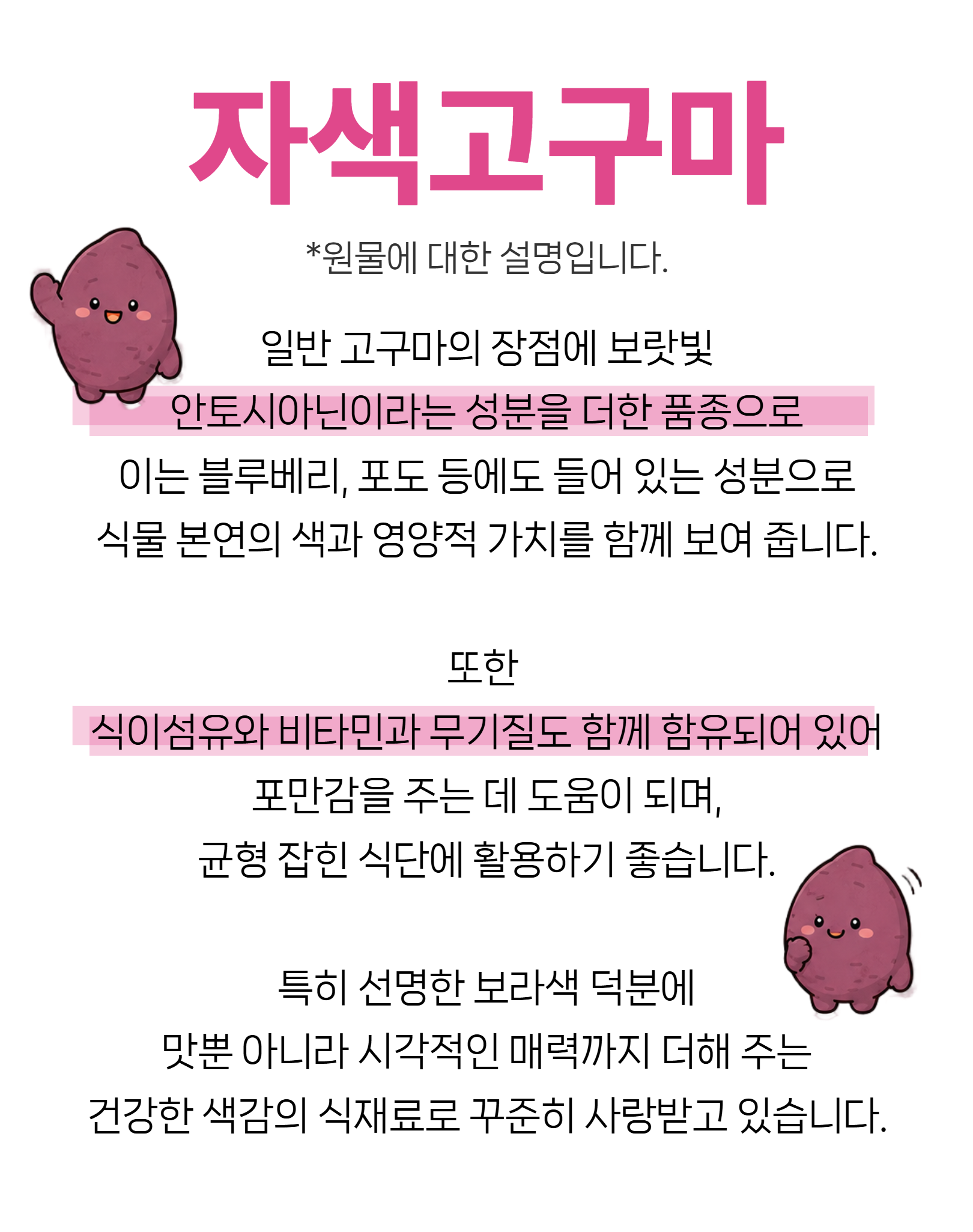 자색 고구마 원물의 설명과 효능 