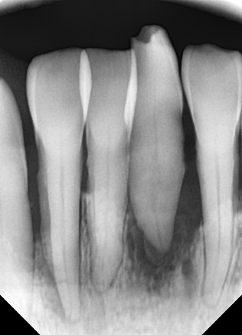 8dd7572a28d86.jpg
