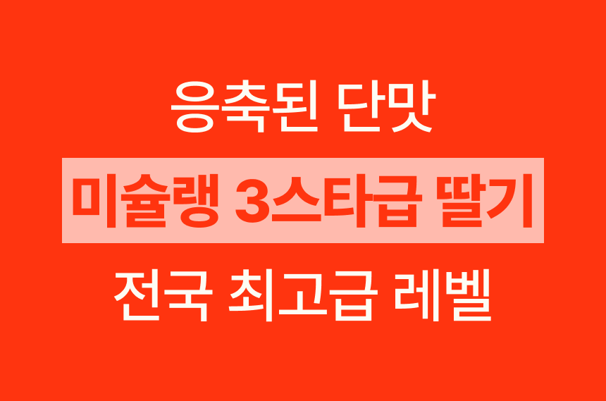 프리미엄 딸기(금실/비타베리/신품종)