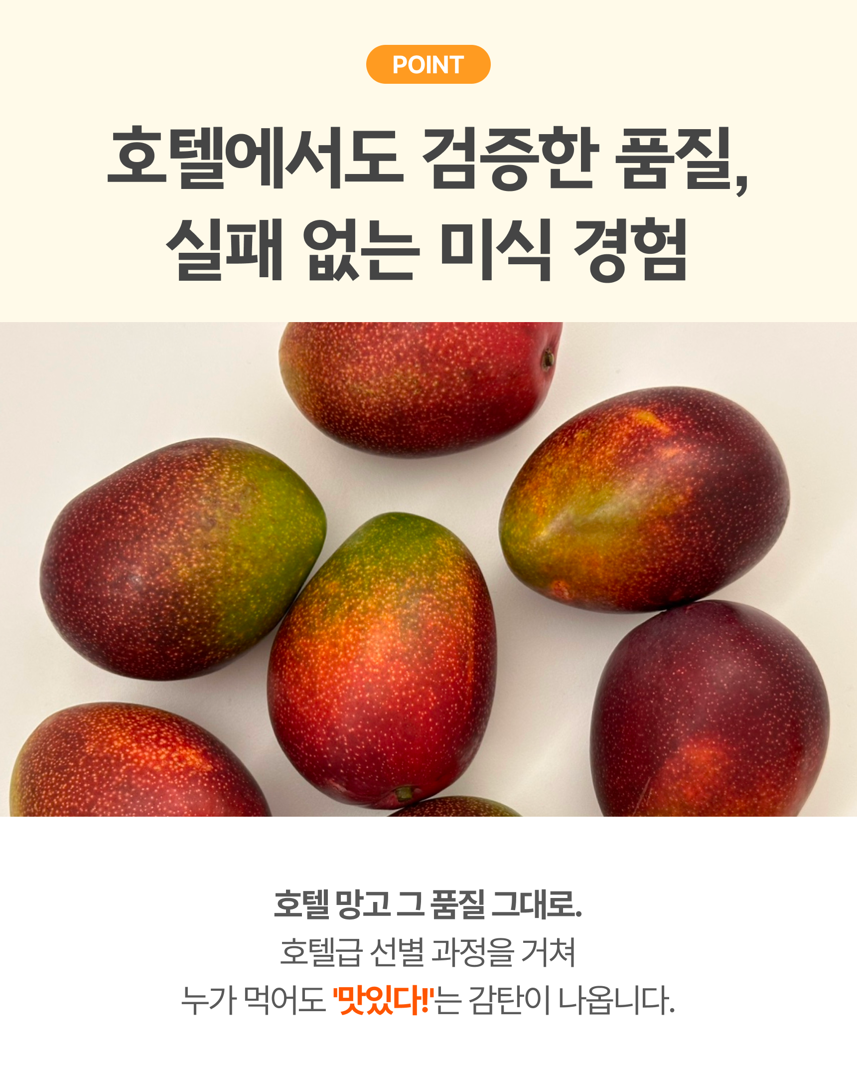 프리미엄 꼬마 애플망고