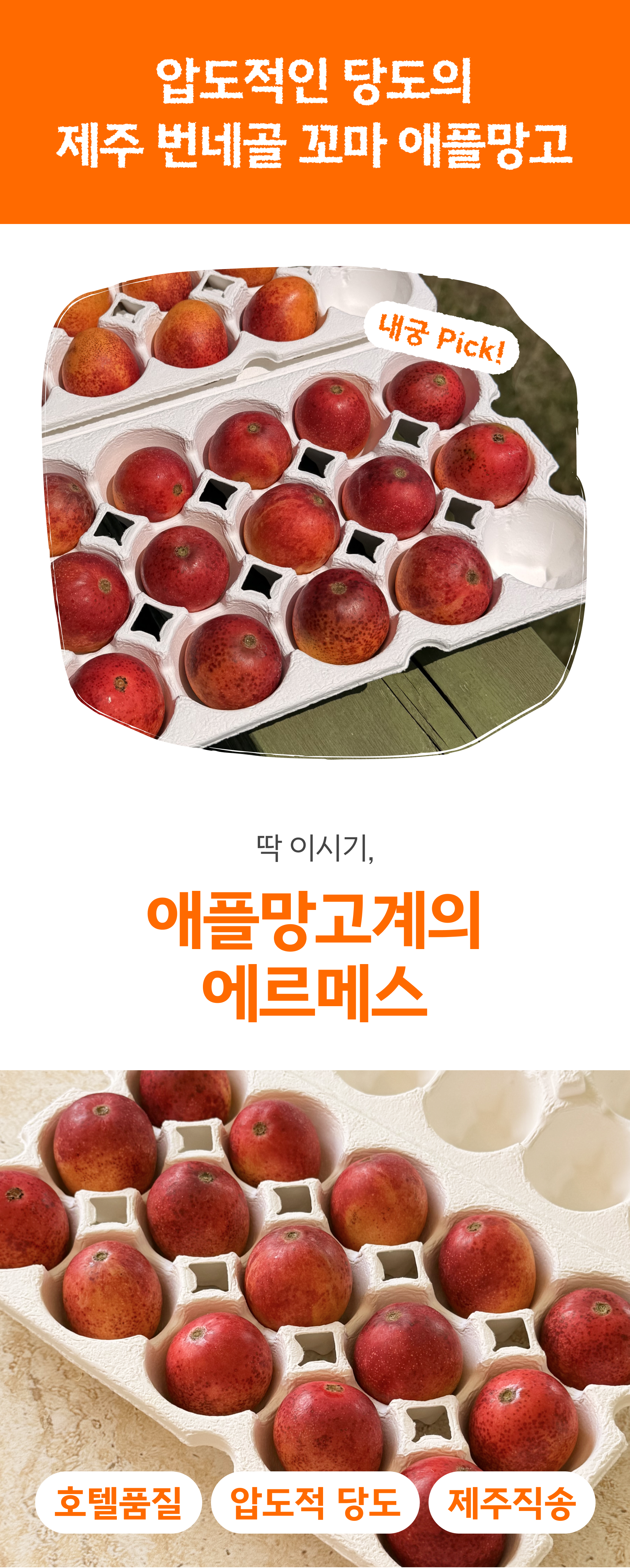 프리미엄 꼬마 애플망고