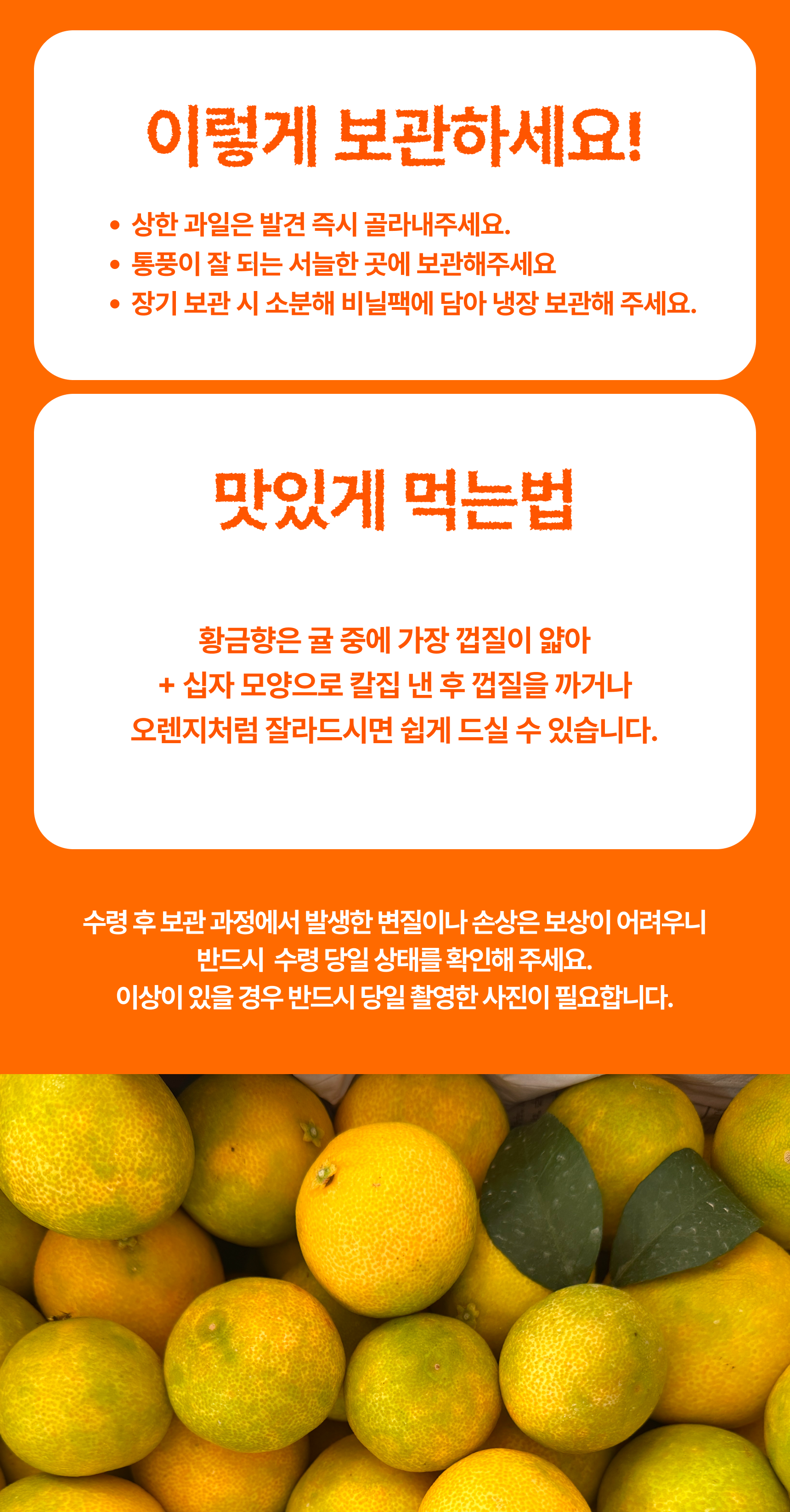 프리미엄 황금향