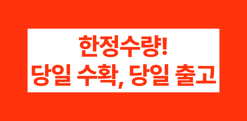 프리미엄 딸기(금실/비타베리/신품종)