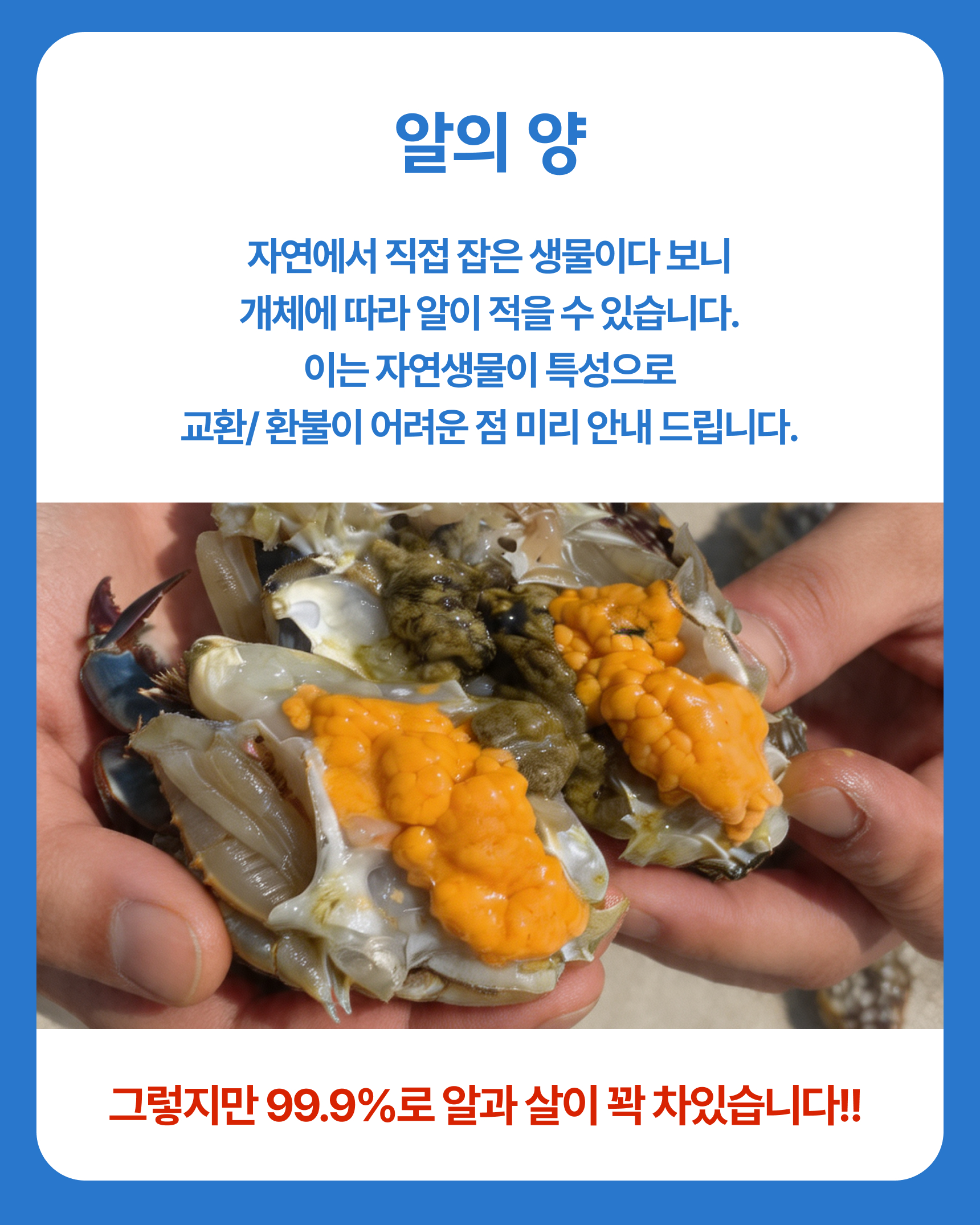 슬기님 테스트용 꽃게