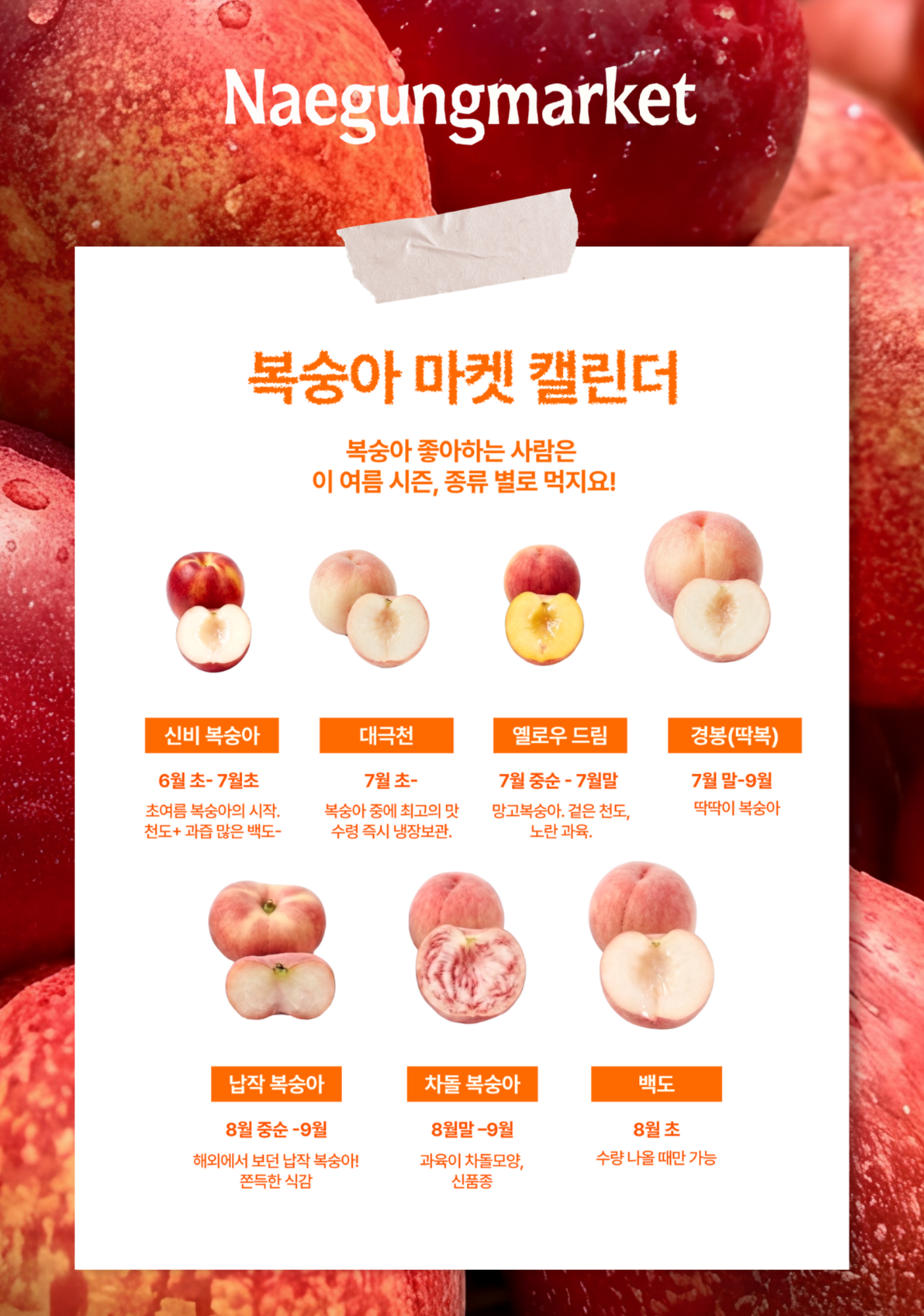 신비복숭아