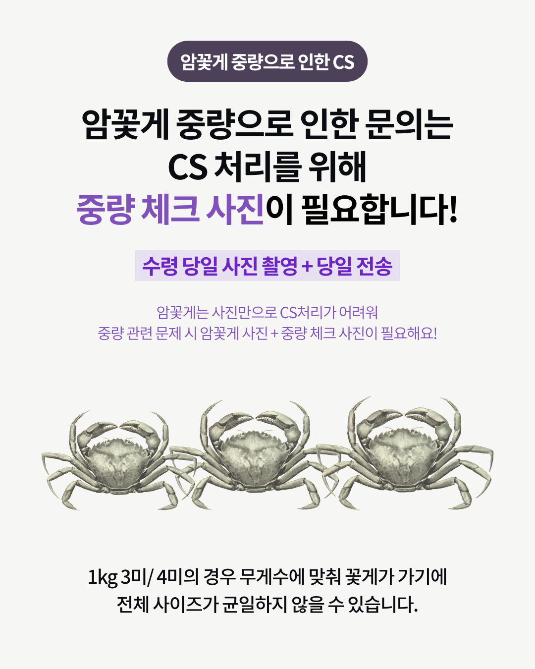 슬기님 테스트용 꽃게
