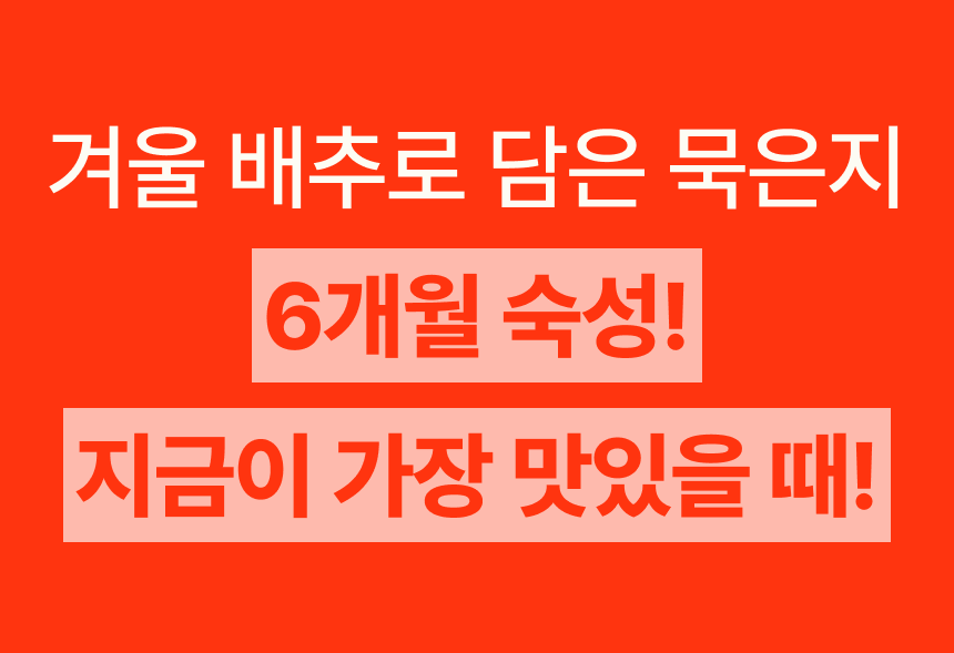 영월김치(묵은지/총각김치/열무김치/갓김치/파김치)-별도배송