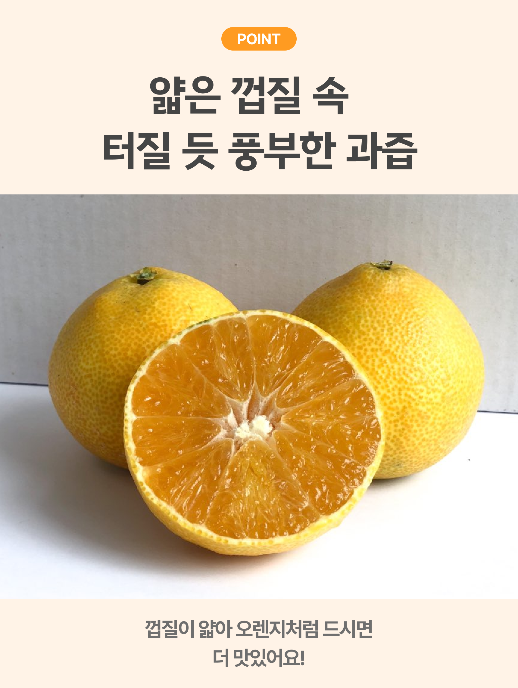 프리미엄 황금향