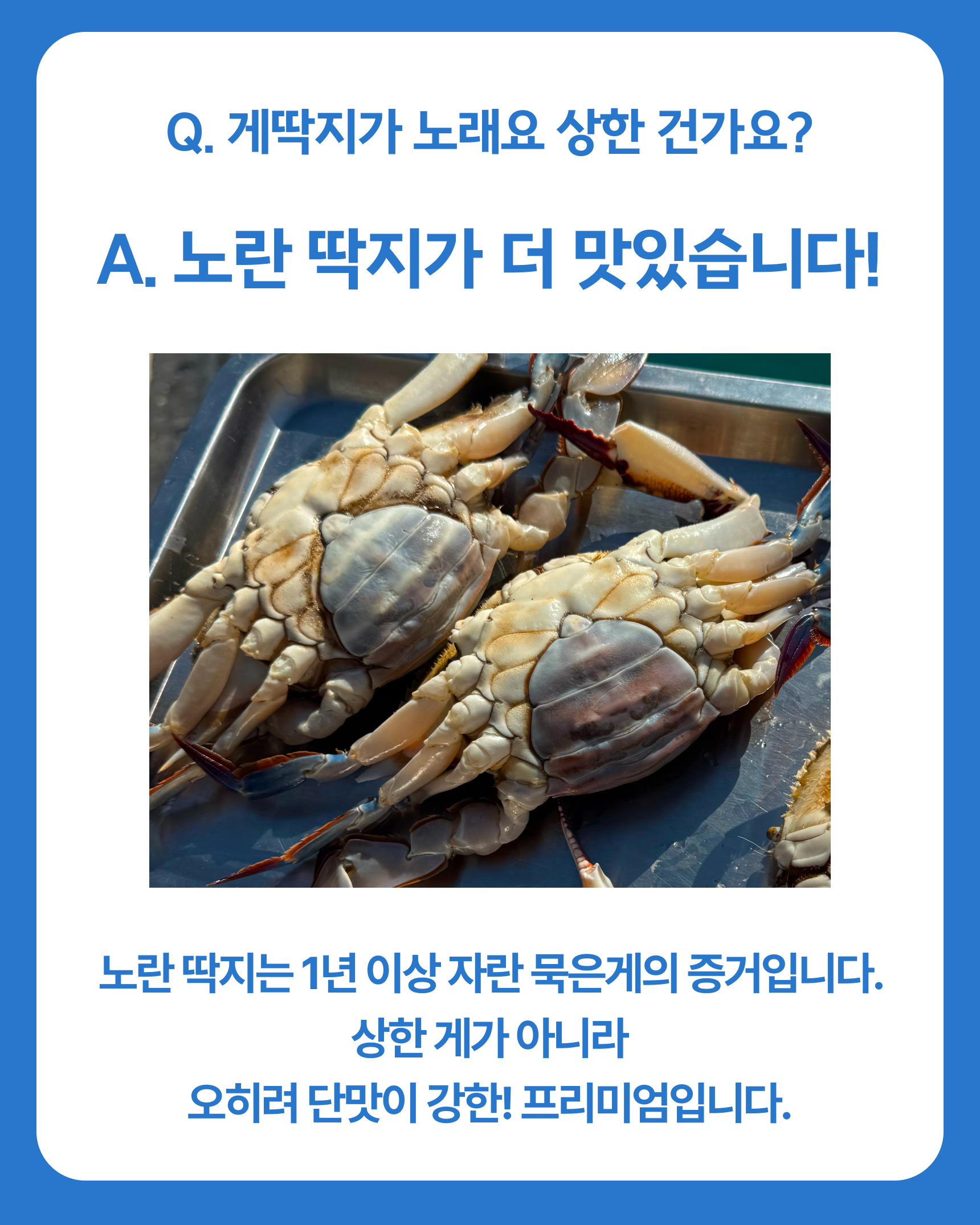 슬기님 테스트용 꽃게