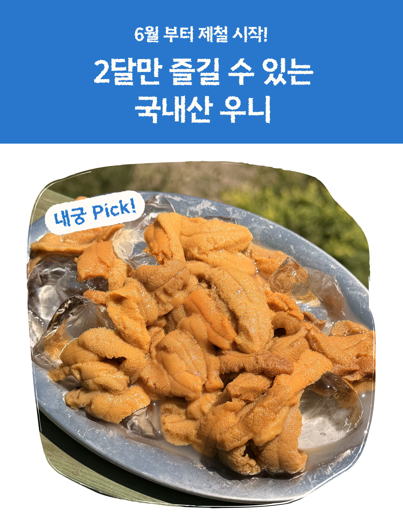 프리미엄 우니
