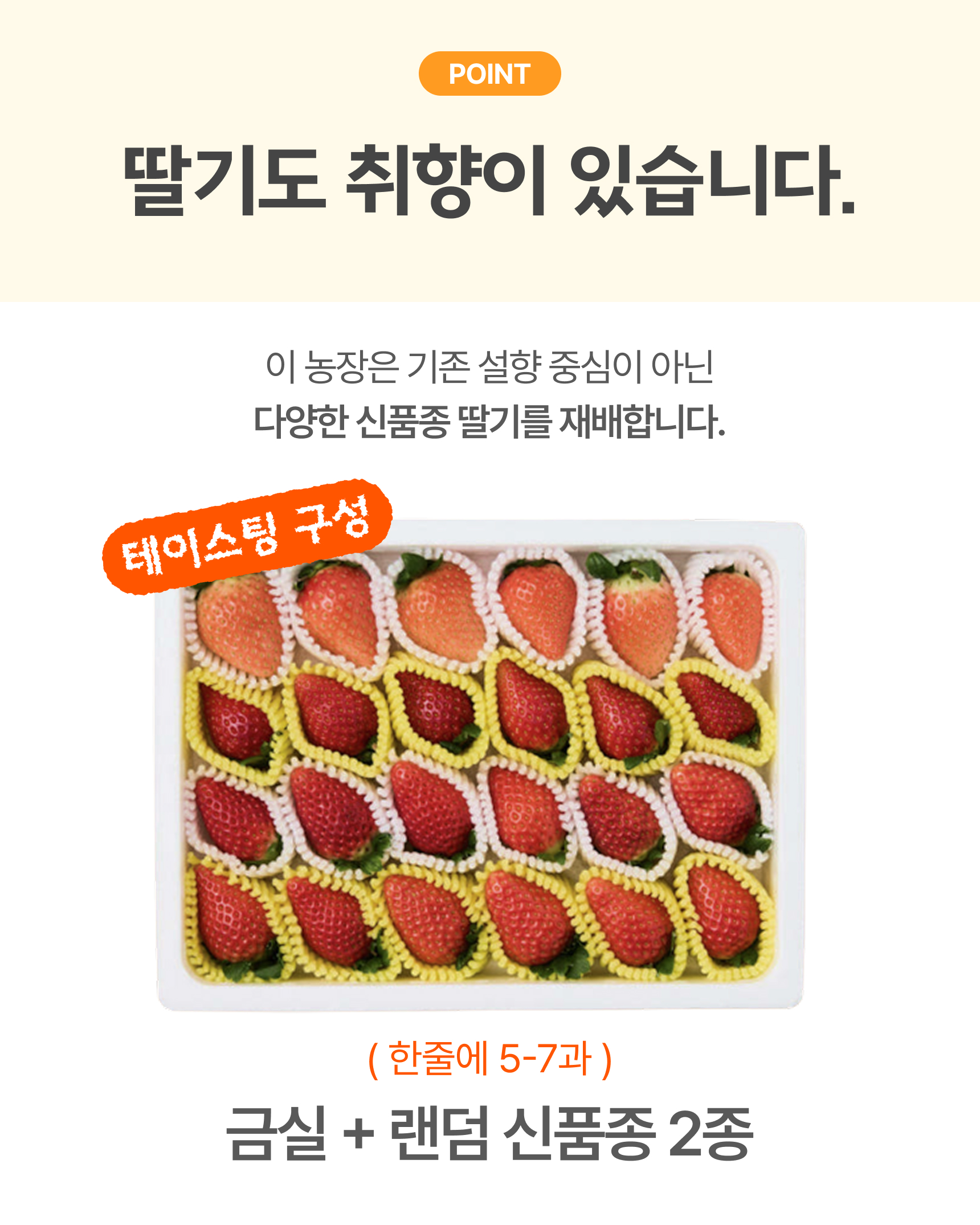 프리미엄 딸기(금실/비타베리/신품종)