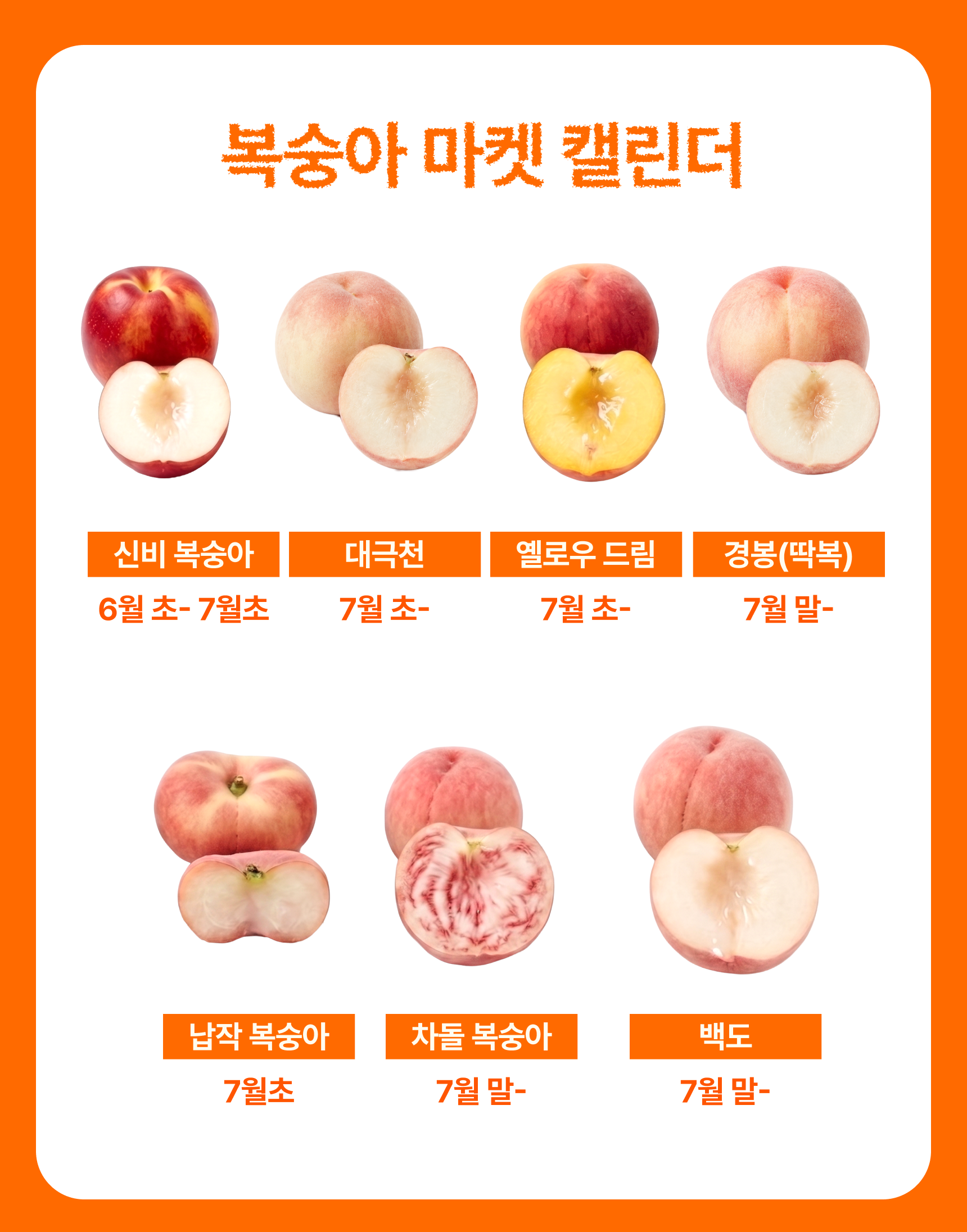 슬기님 테스트용 실비복숭아