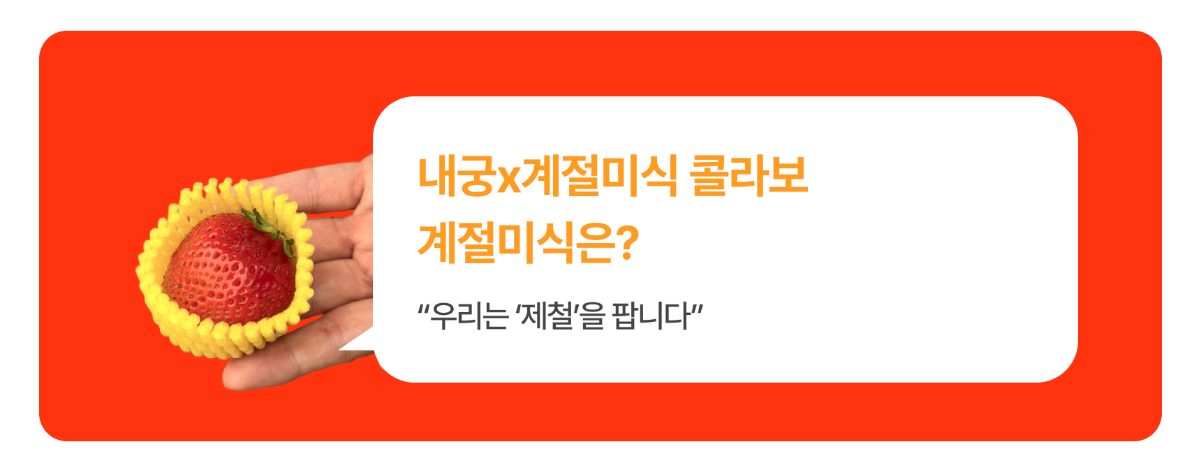프리미엄 딸기(금실/비타베리/신품종)