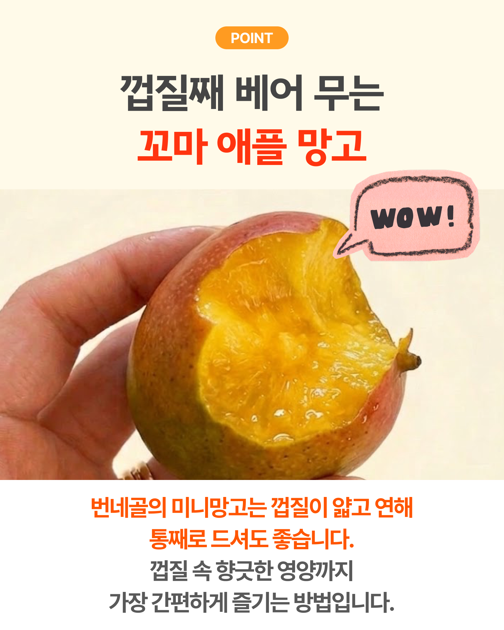 프리미엄 꼬마 애플망고