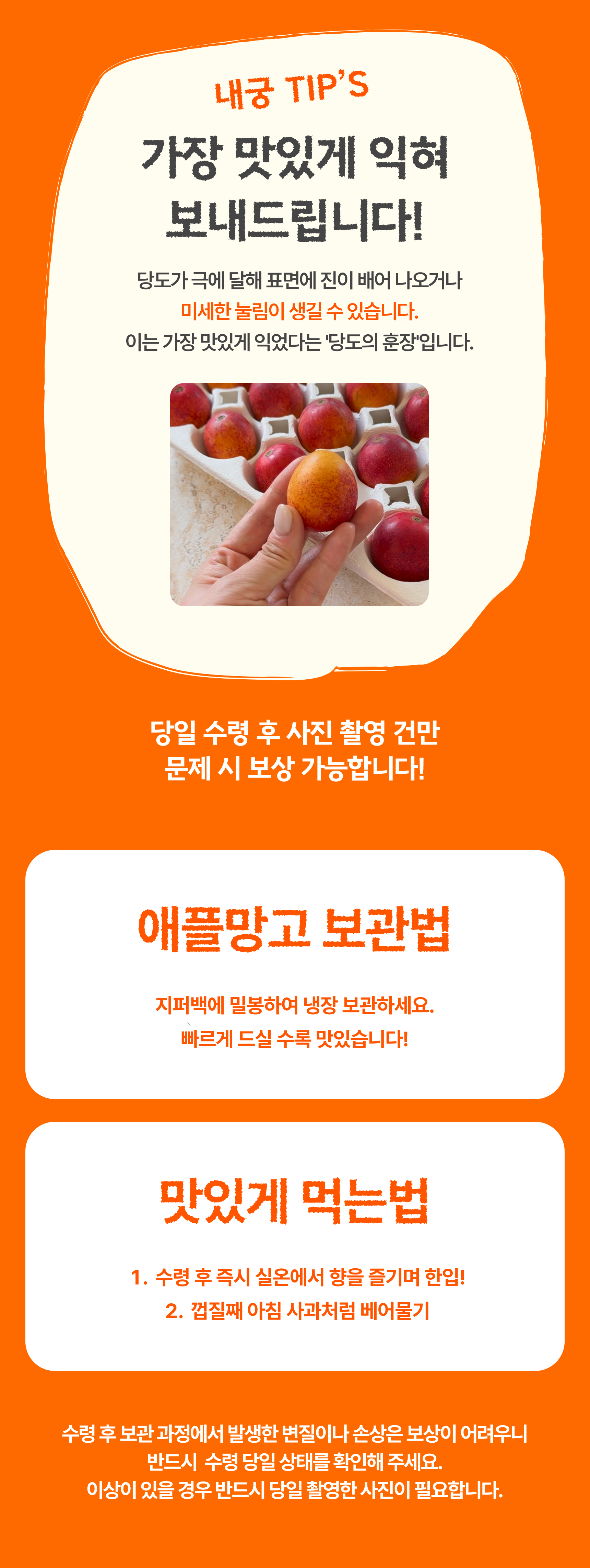 프리미엄 꼬마 애플망고