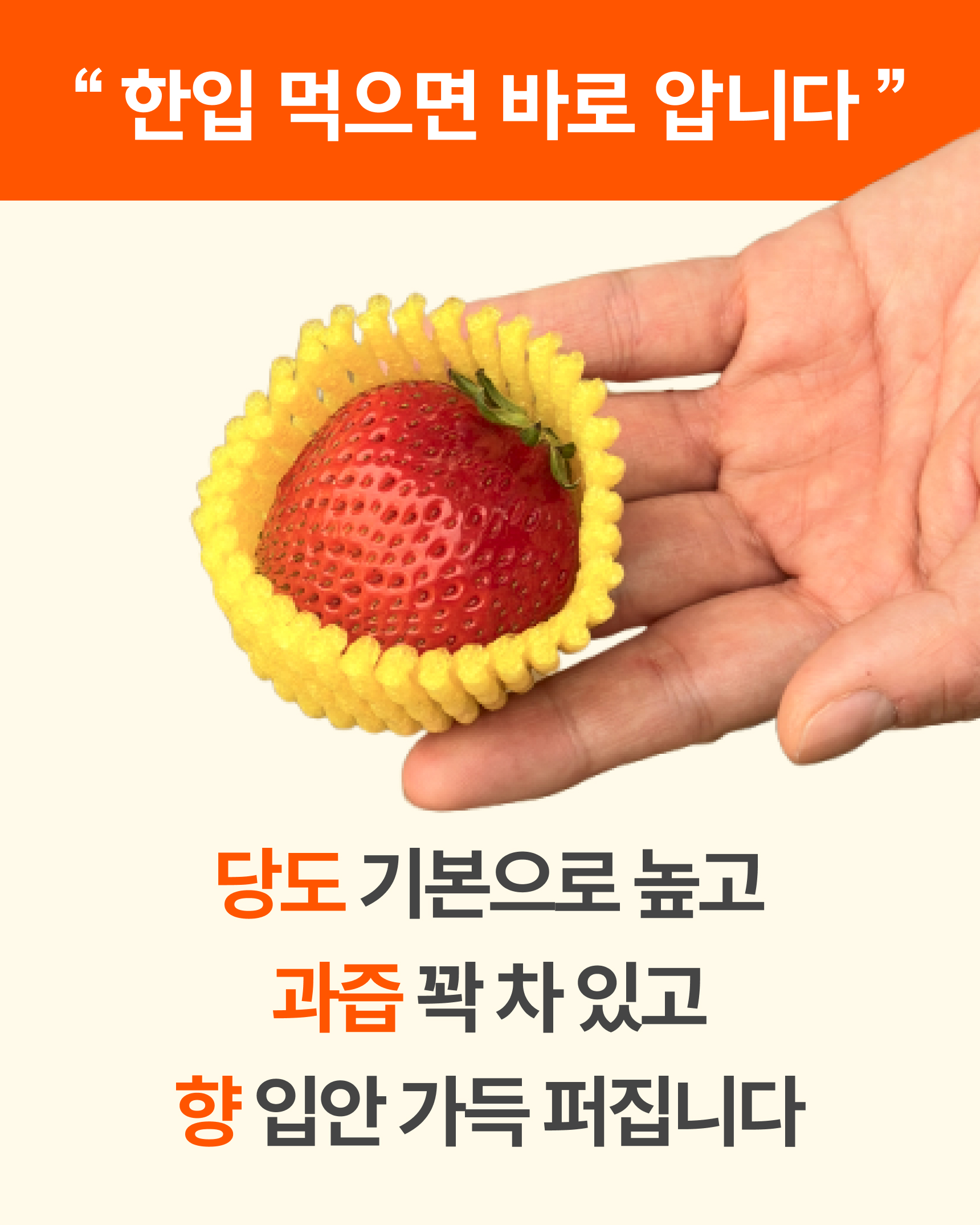 프리미엄 딸기(금실/비타베리/신품종)