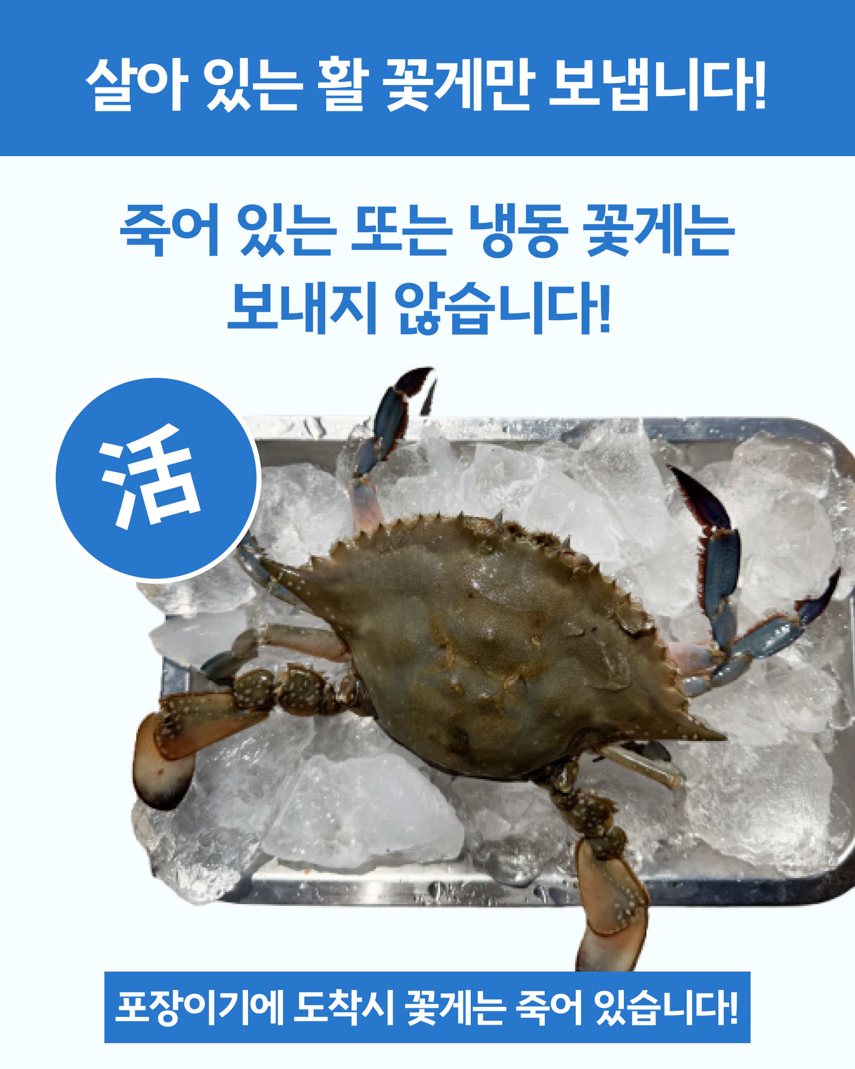 슬기님 테스트용 꽃게