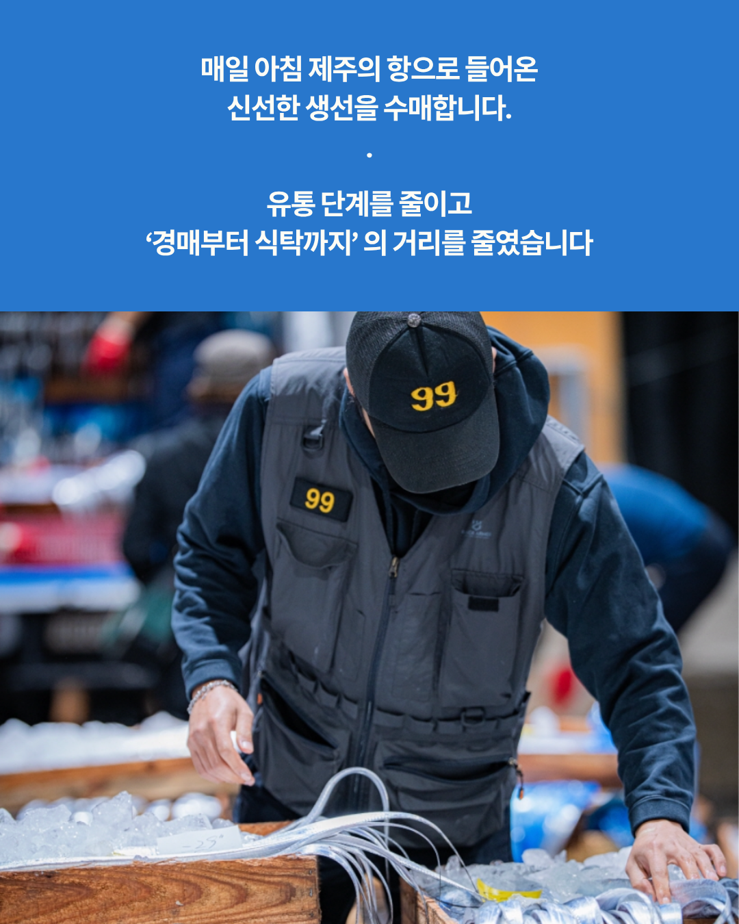 제주바다 갈치/옥돔/고등어