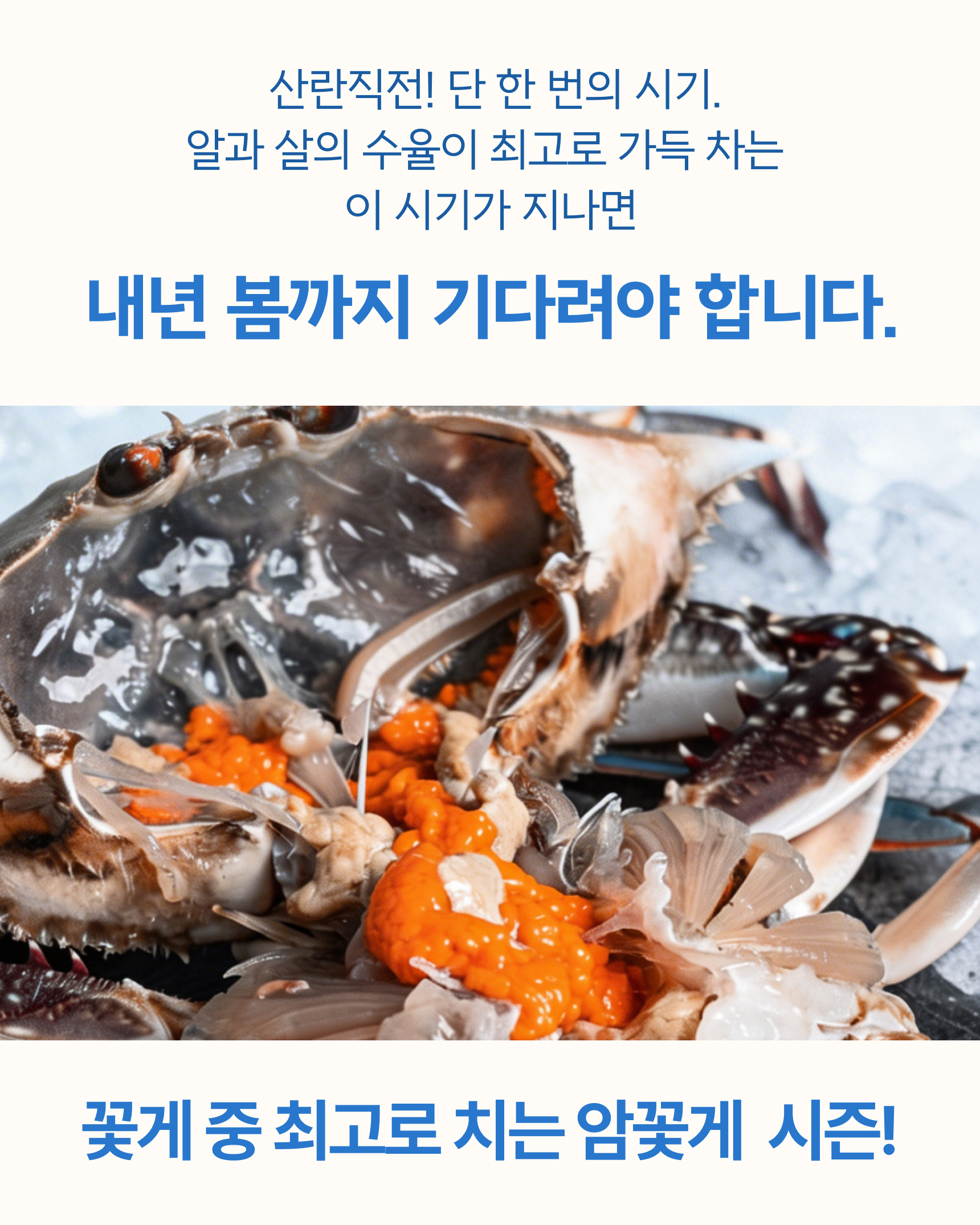 프리미엄 활 암꽃게(1kg)