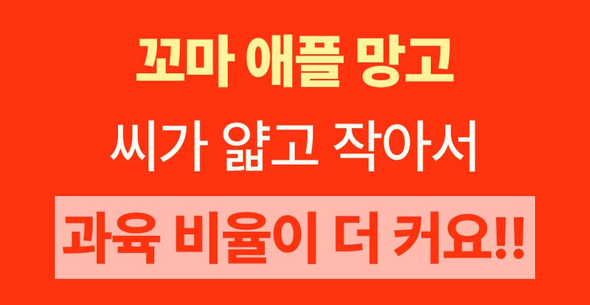 프리미엄 꼬마 애플망고