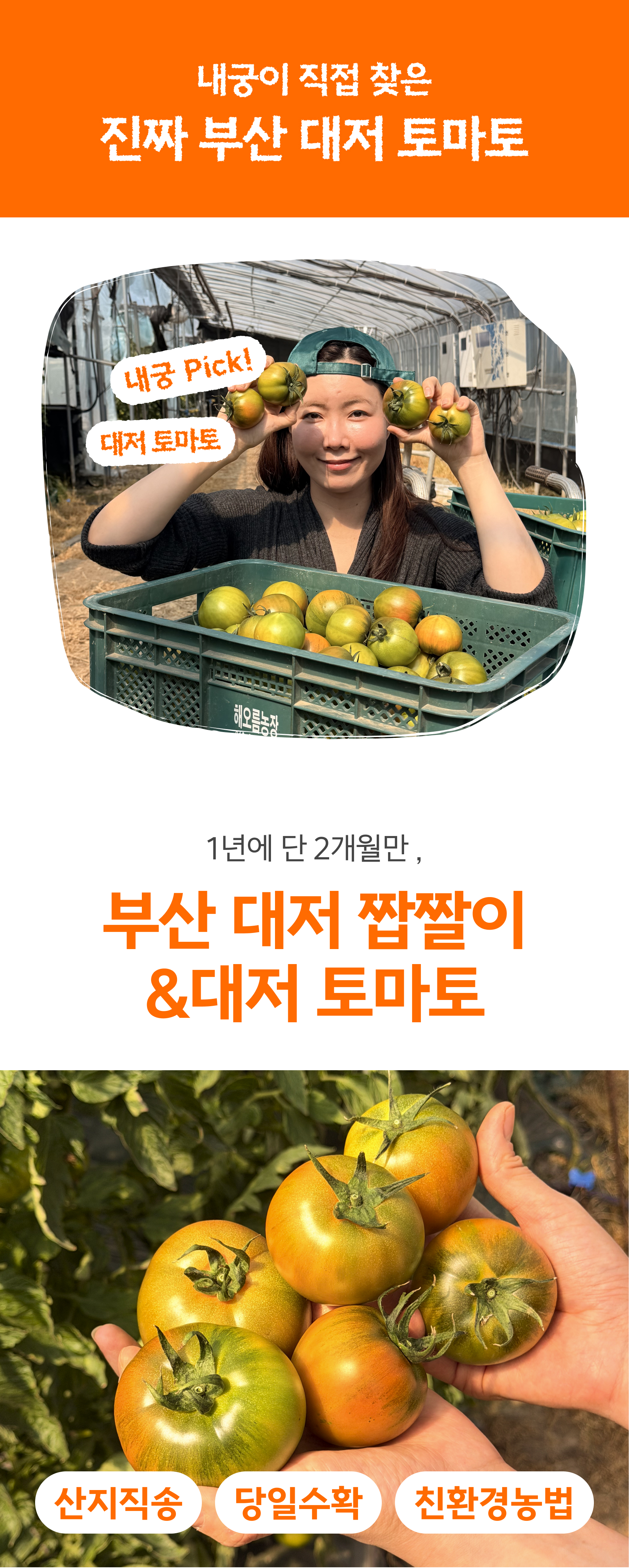 대저토마토(프리미엄) 2.5kg