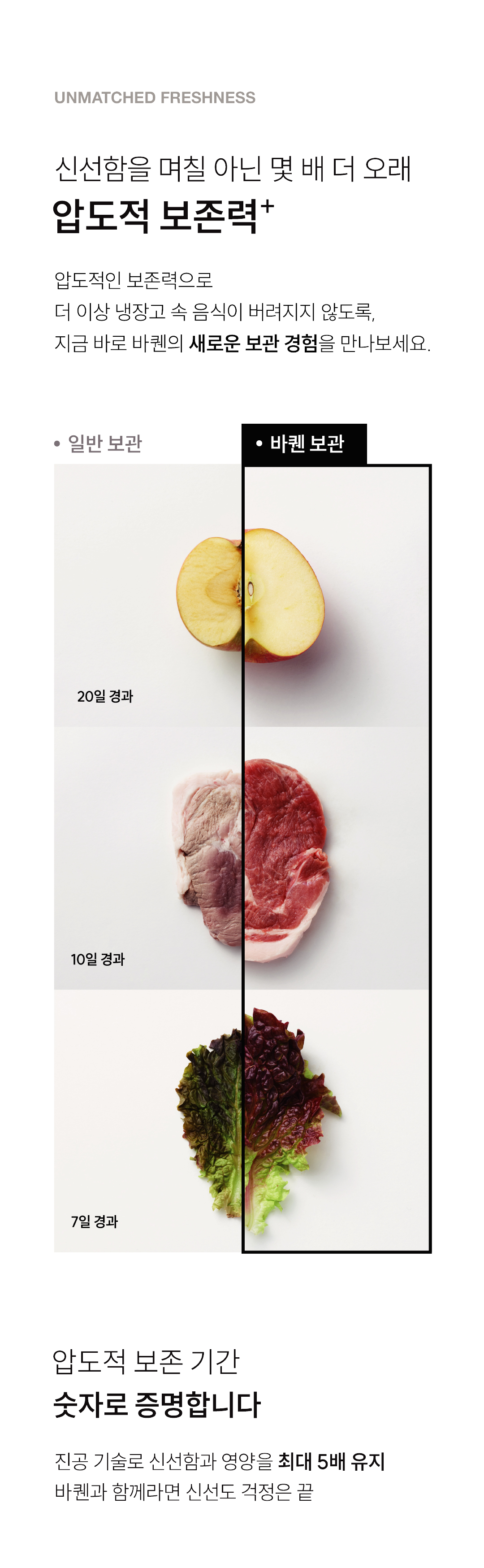 [바퀜x내궁마켓] 내궁 바퀜 세트