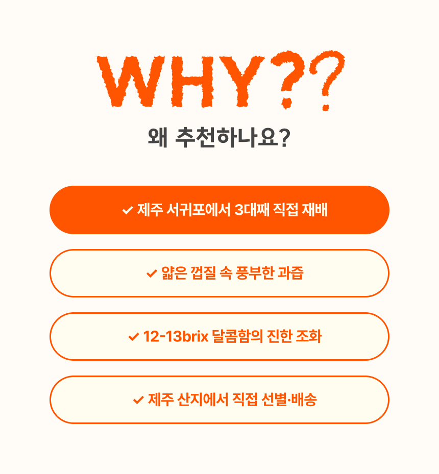 프리미엄 황금향