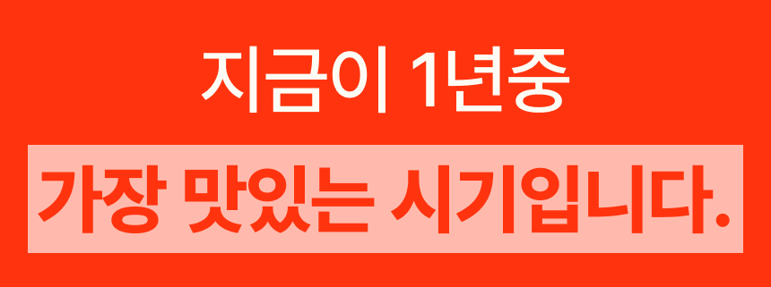 프리미엄 딸기(금실/비타베리/신품종)