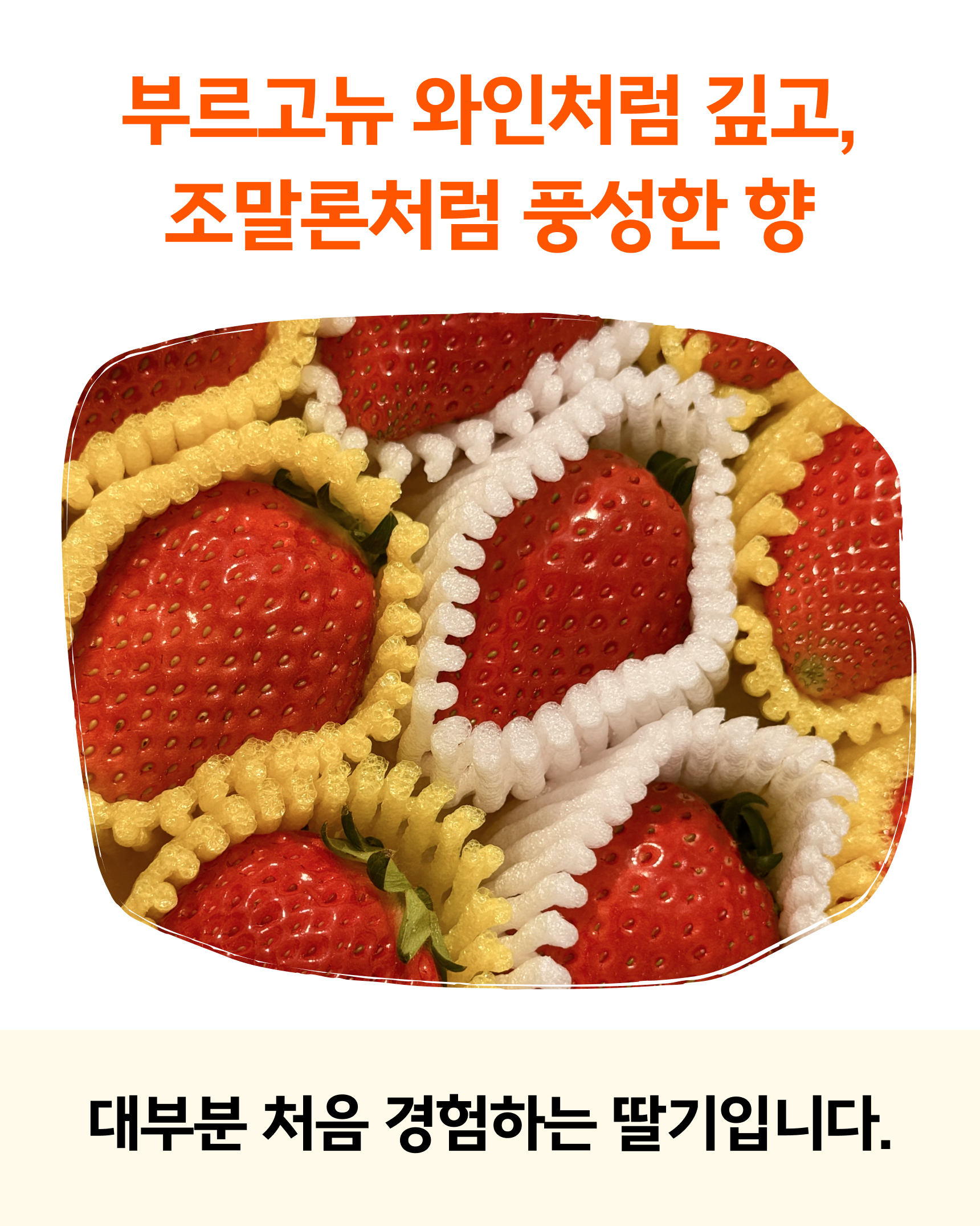 프리미엄 딸기(금실/비타베리/신품종)