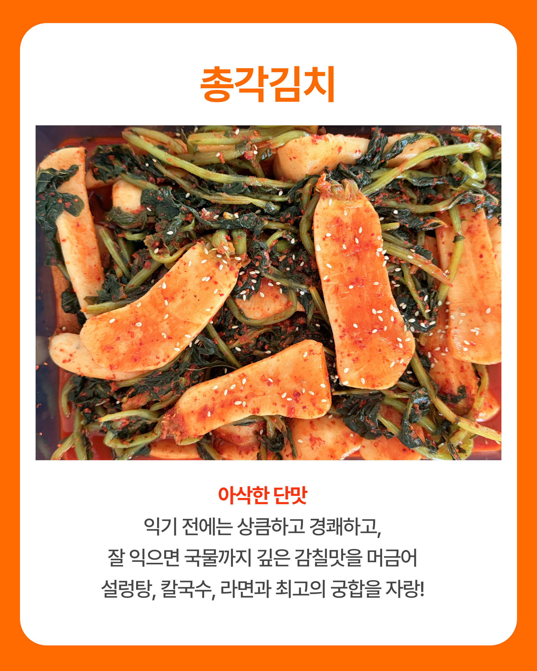 영월김치(묵은지/총각김치/열무김치/갓김치/파김치)-별도배송