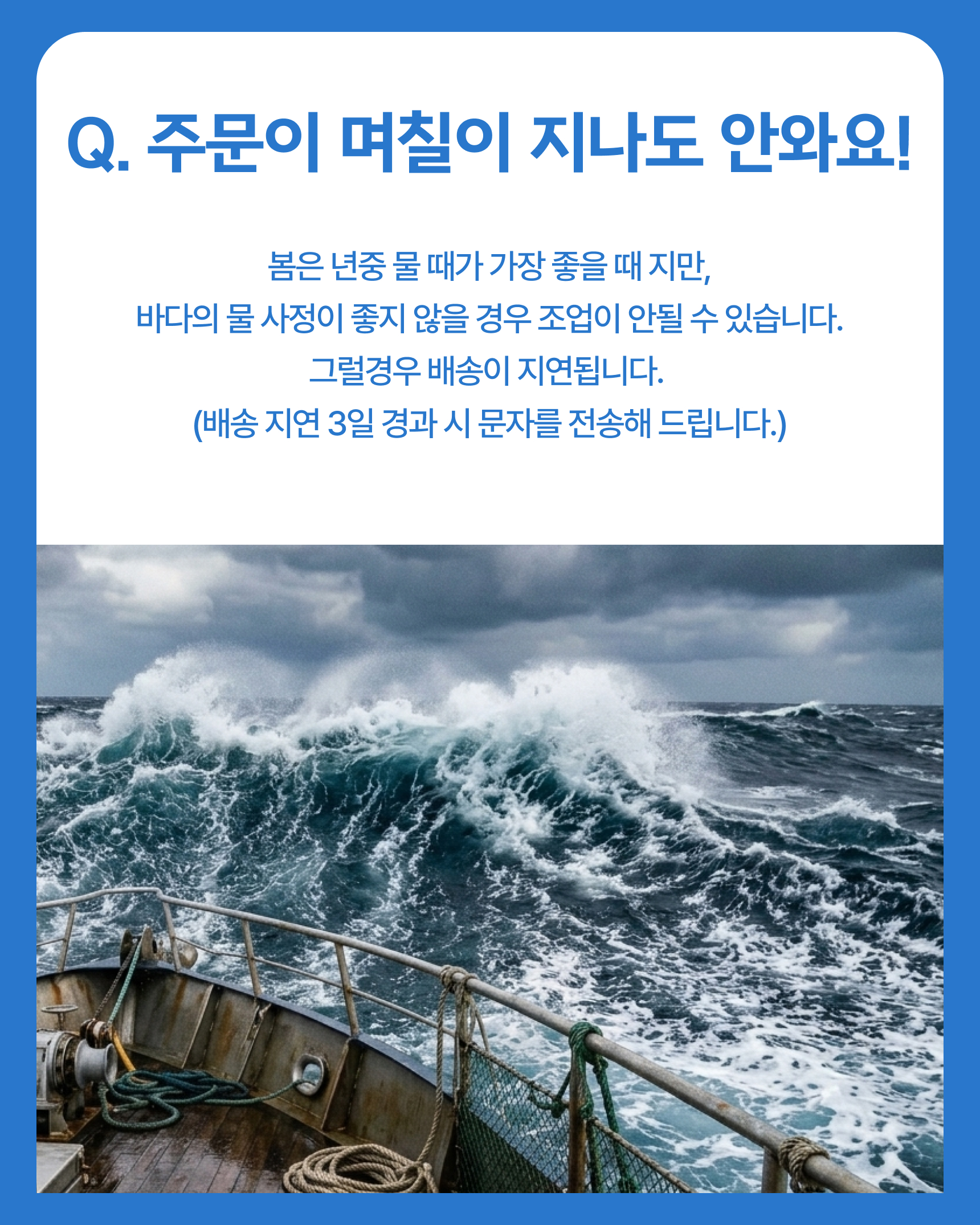 프리미엄 활 암꽃게(1kg)