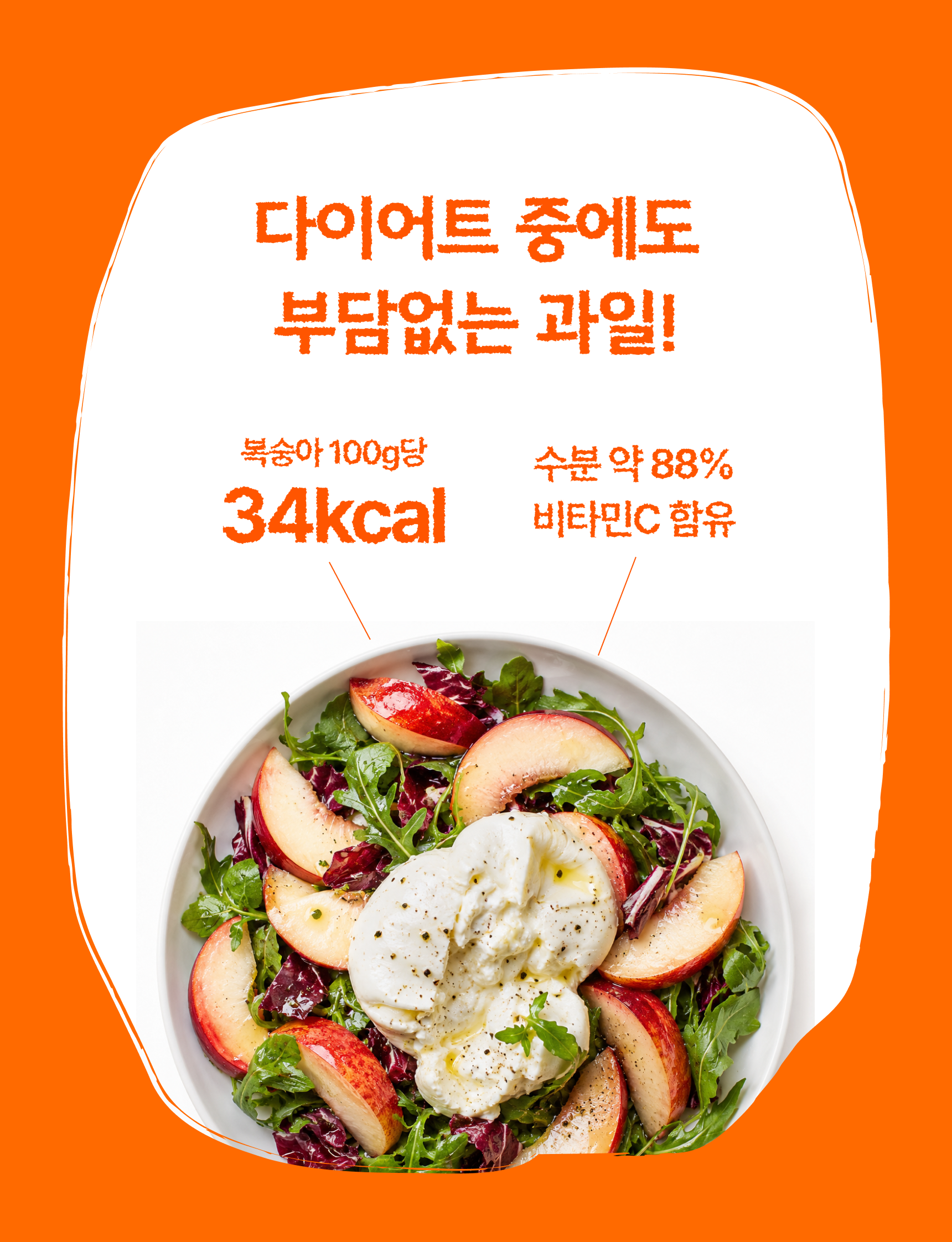 신비복숭아 준비