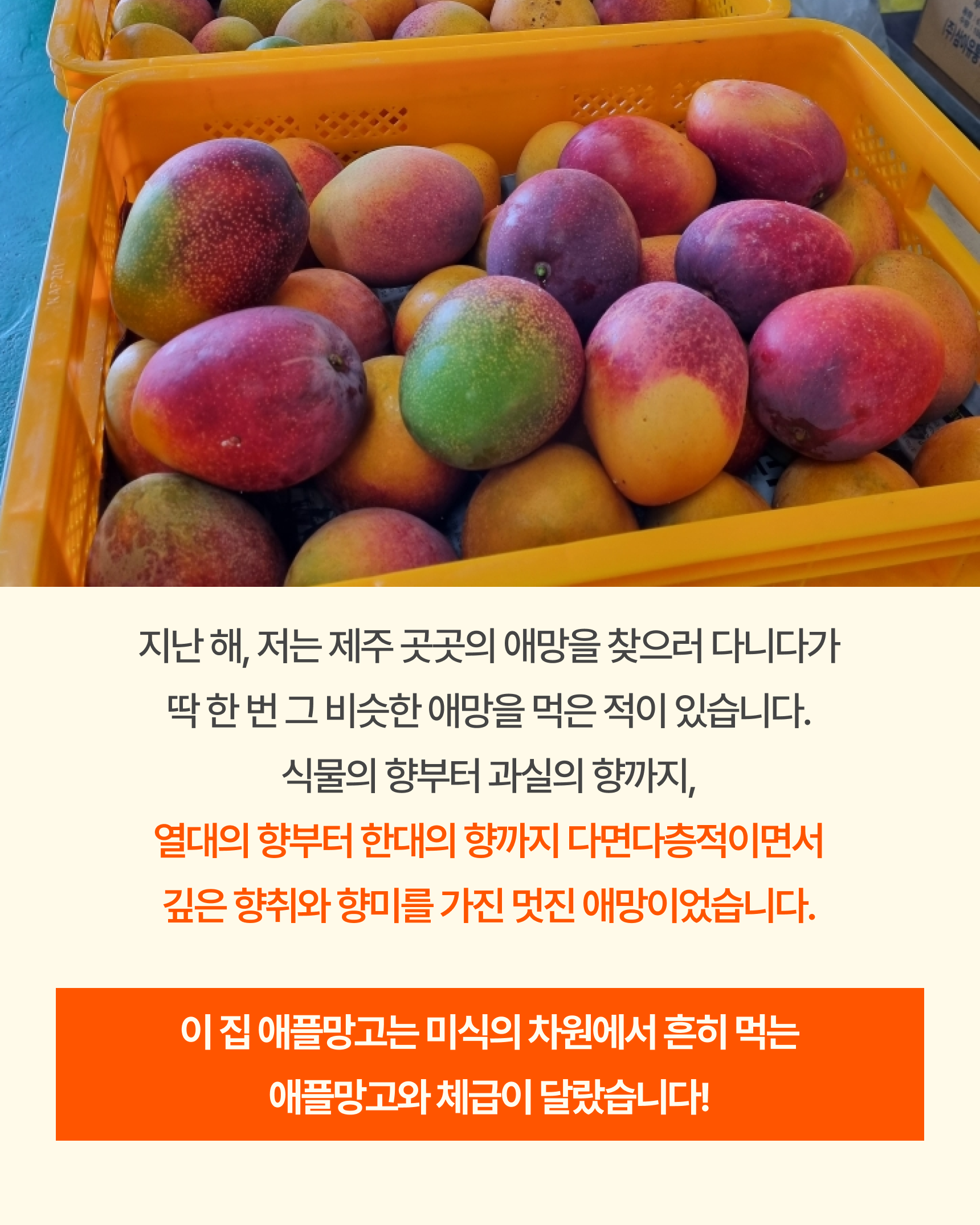 프리미엄 꼬마 애플망고