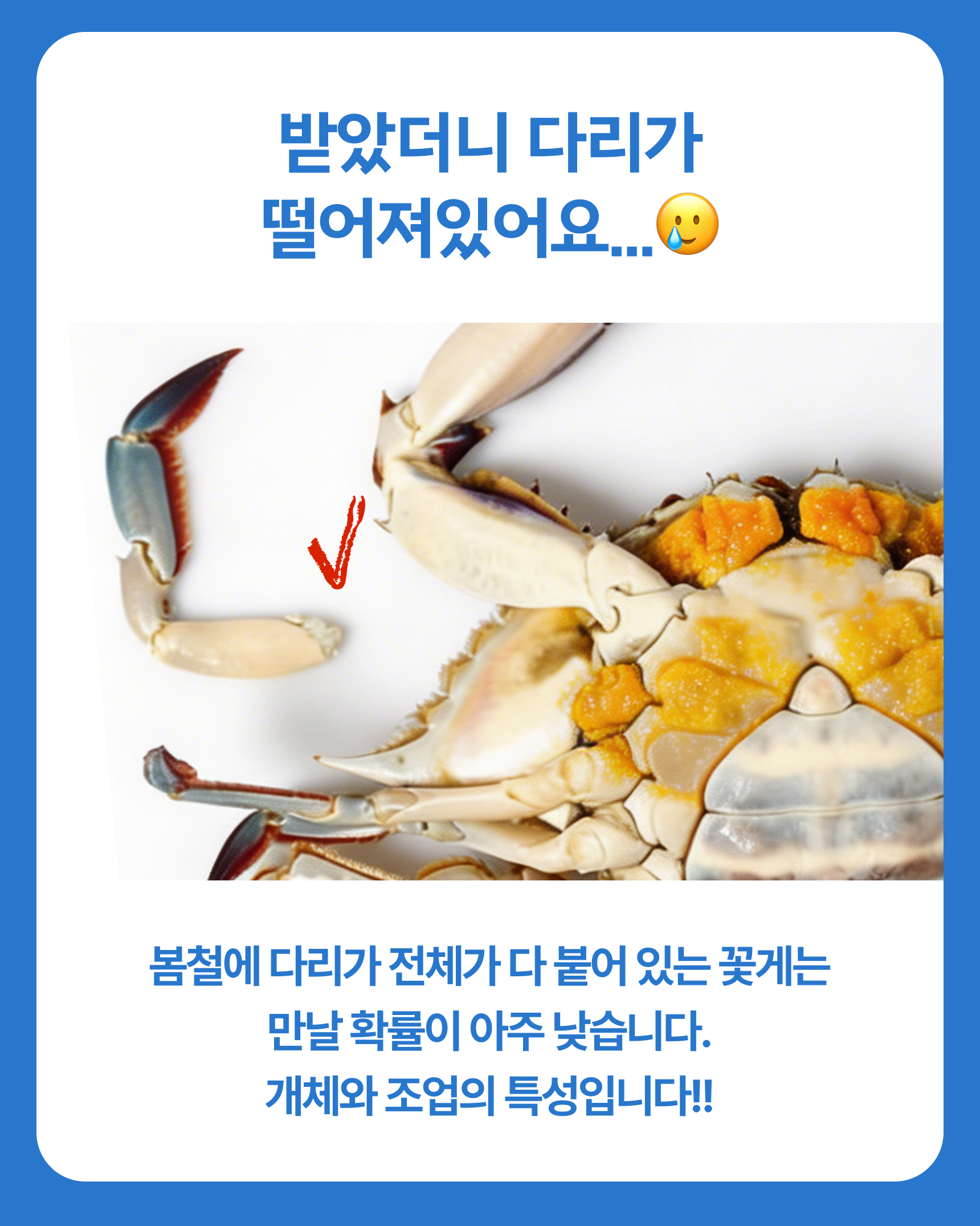 슬기님 테스트용 꽃게