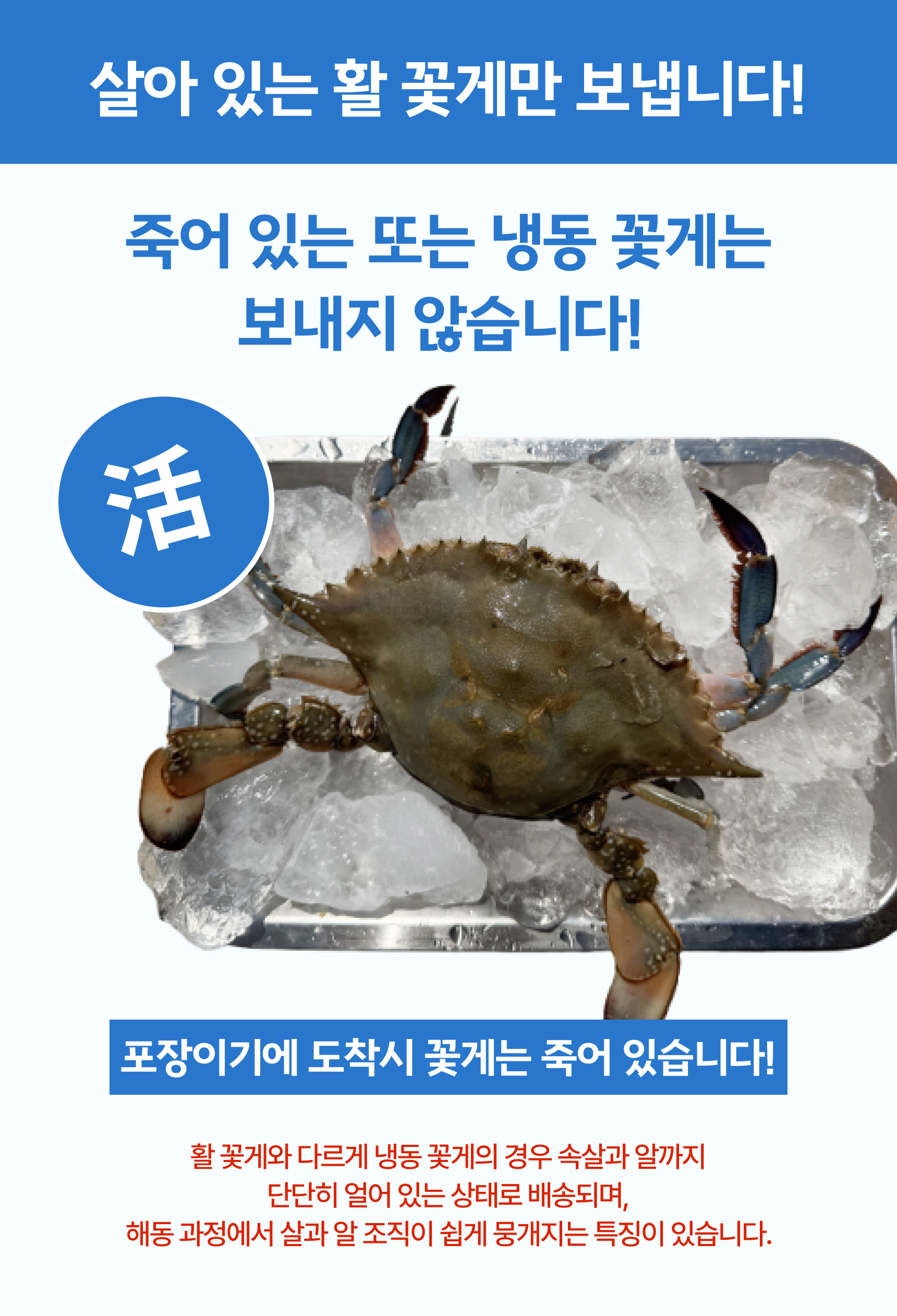 프리미엄 활 암꽃게(1kg)