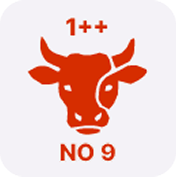 한우넘버9