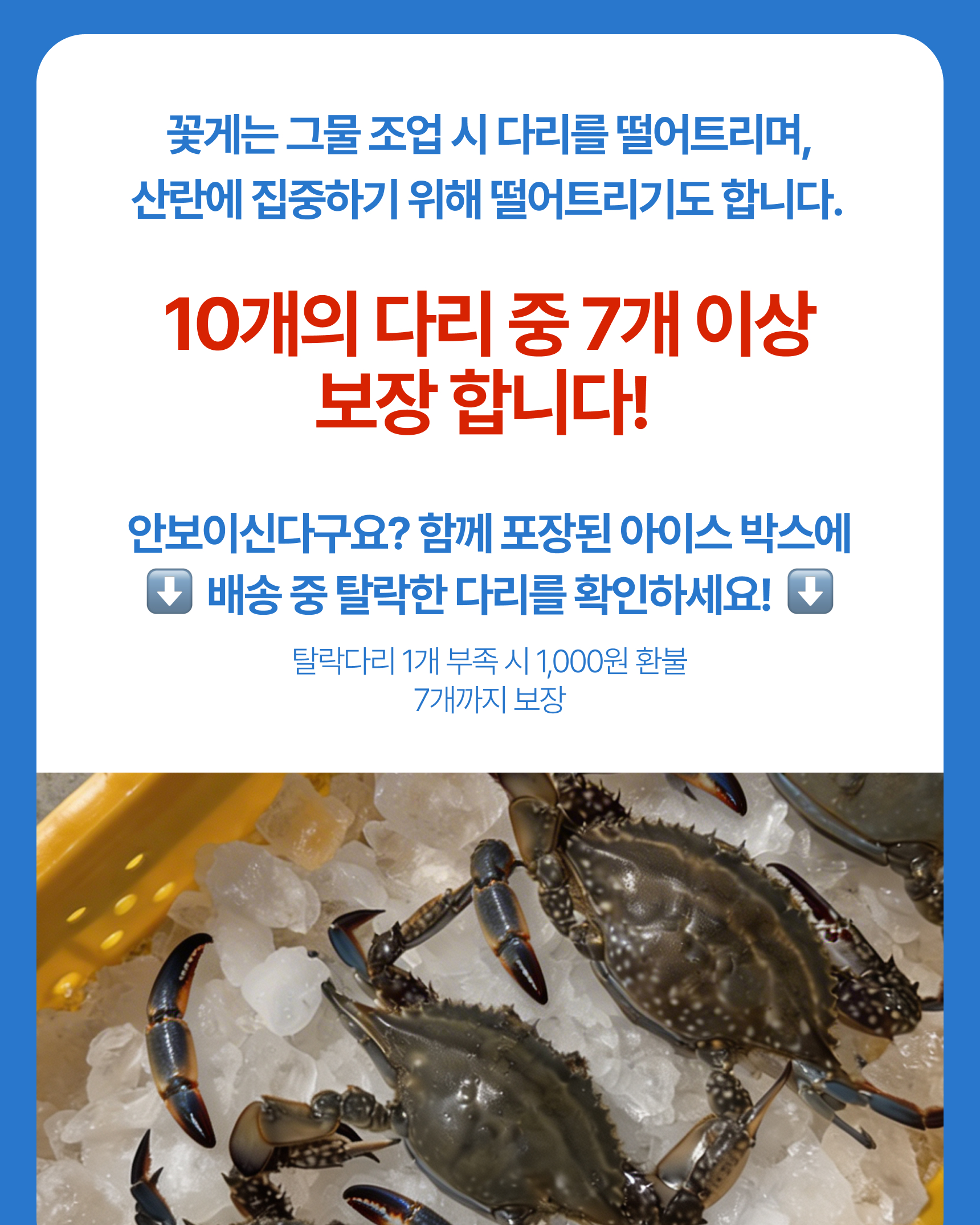 슬기님 테스트용 꽃게