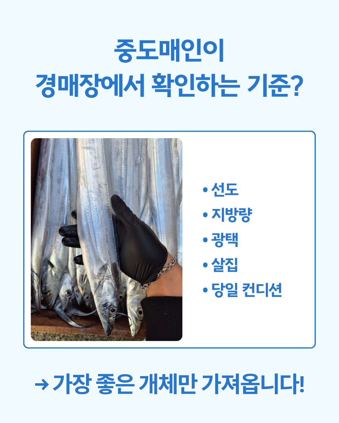제주바다 갈치/옥돔/고등어