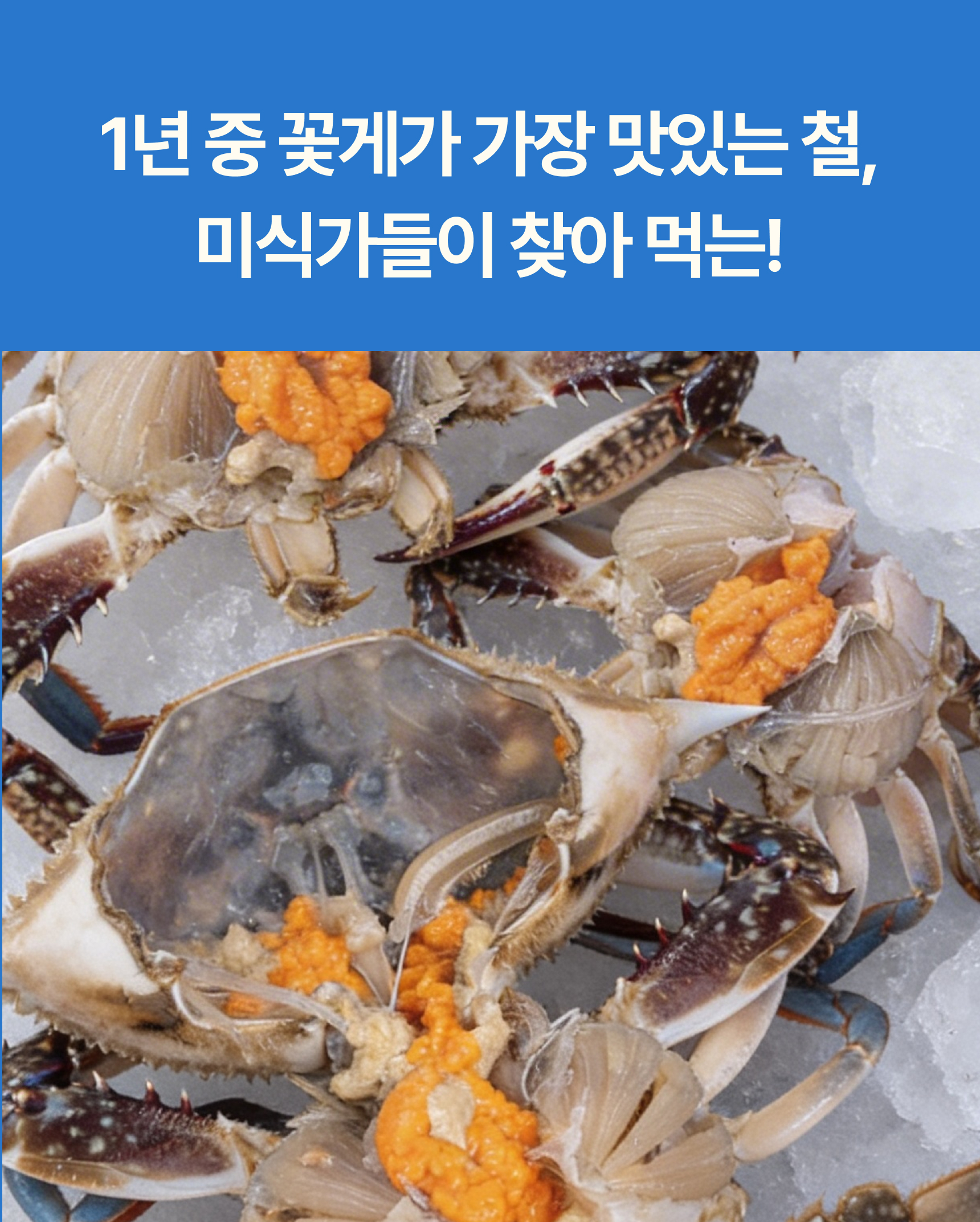 슬기님 테스트용 꽃게