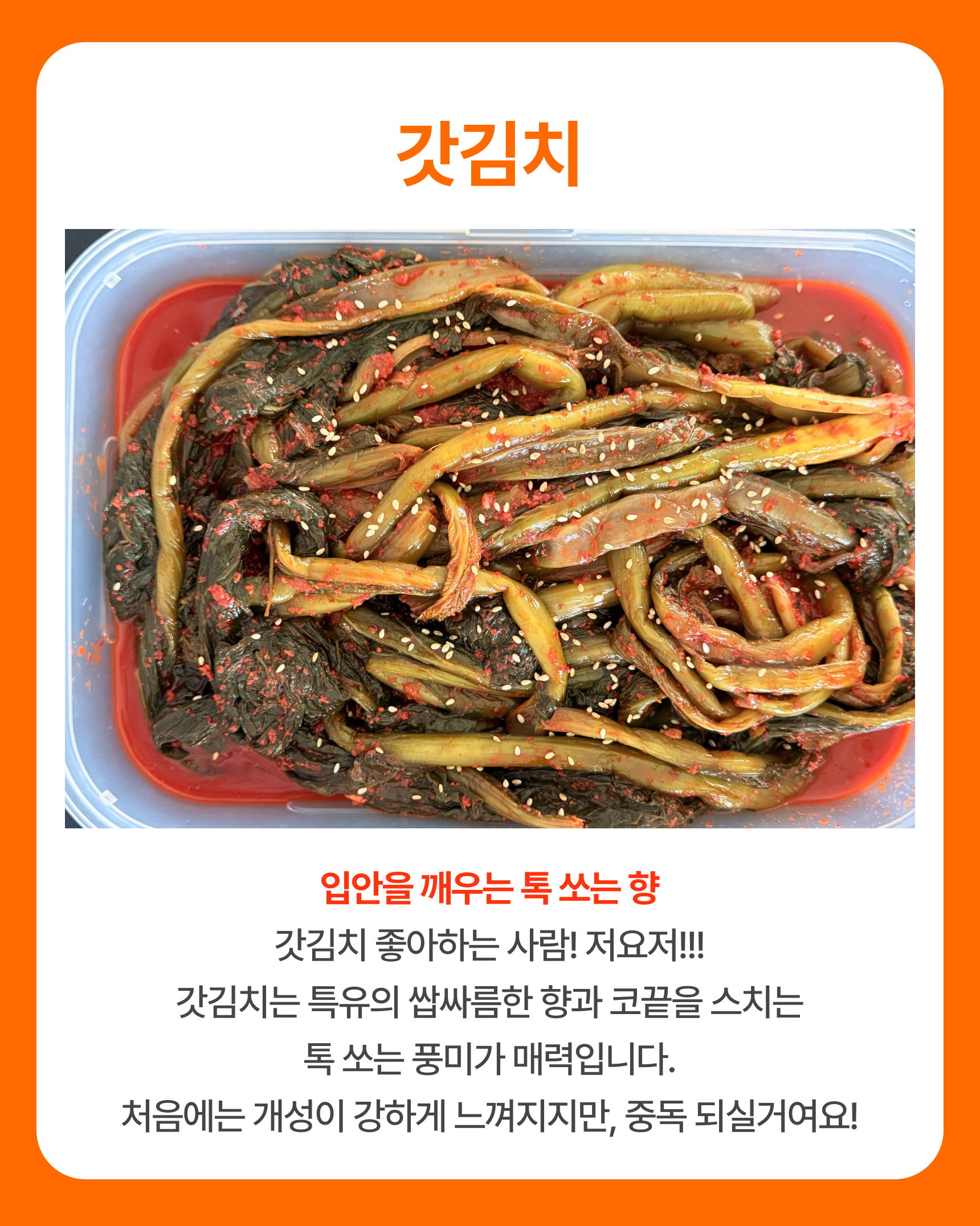 영월김치(묵은지/총각김치/열무김치/갓김치/파김치)-별도배송