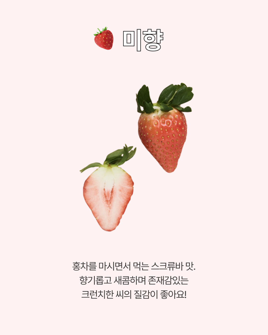 프리미엄 딸기(금실/비타베리/신품종)