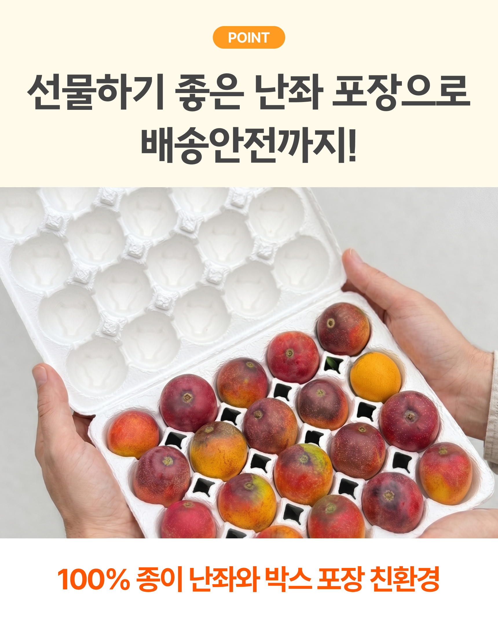 프리미엄 꼬마 애플망고